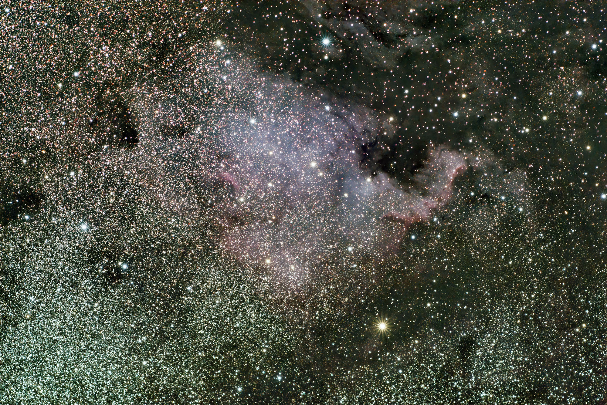 ngc7000
