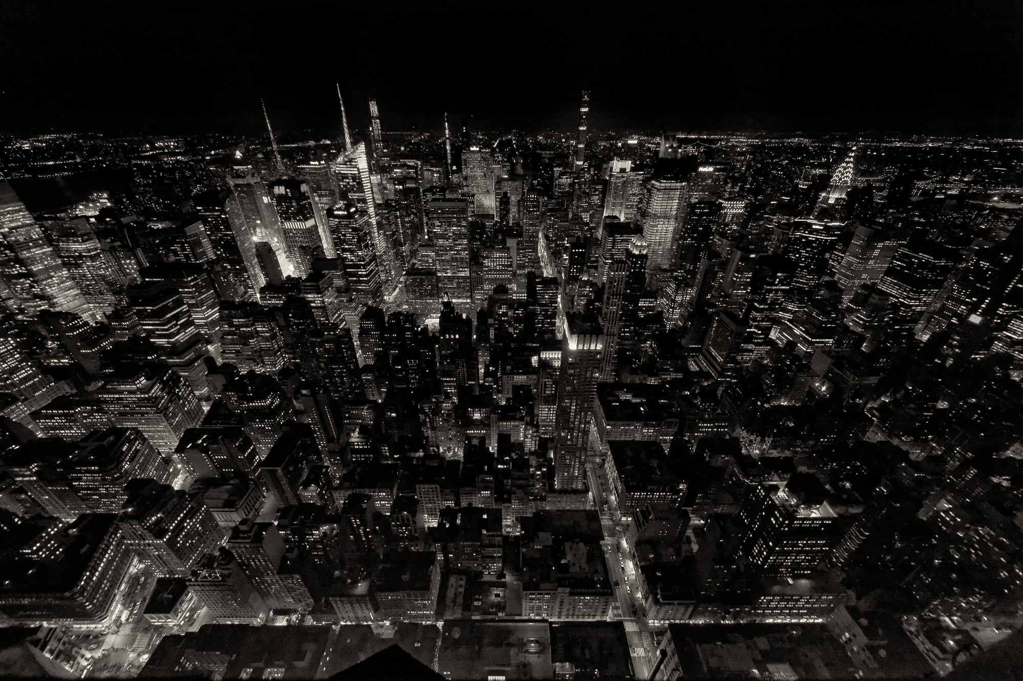 Sulla schiena dell'istrice