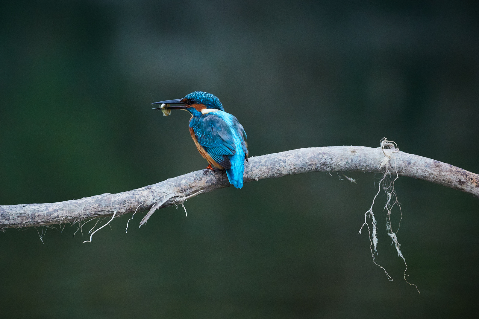 Martin after fishing