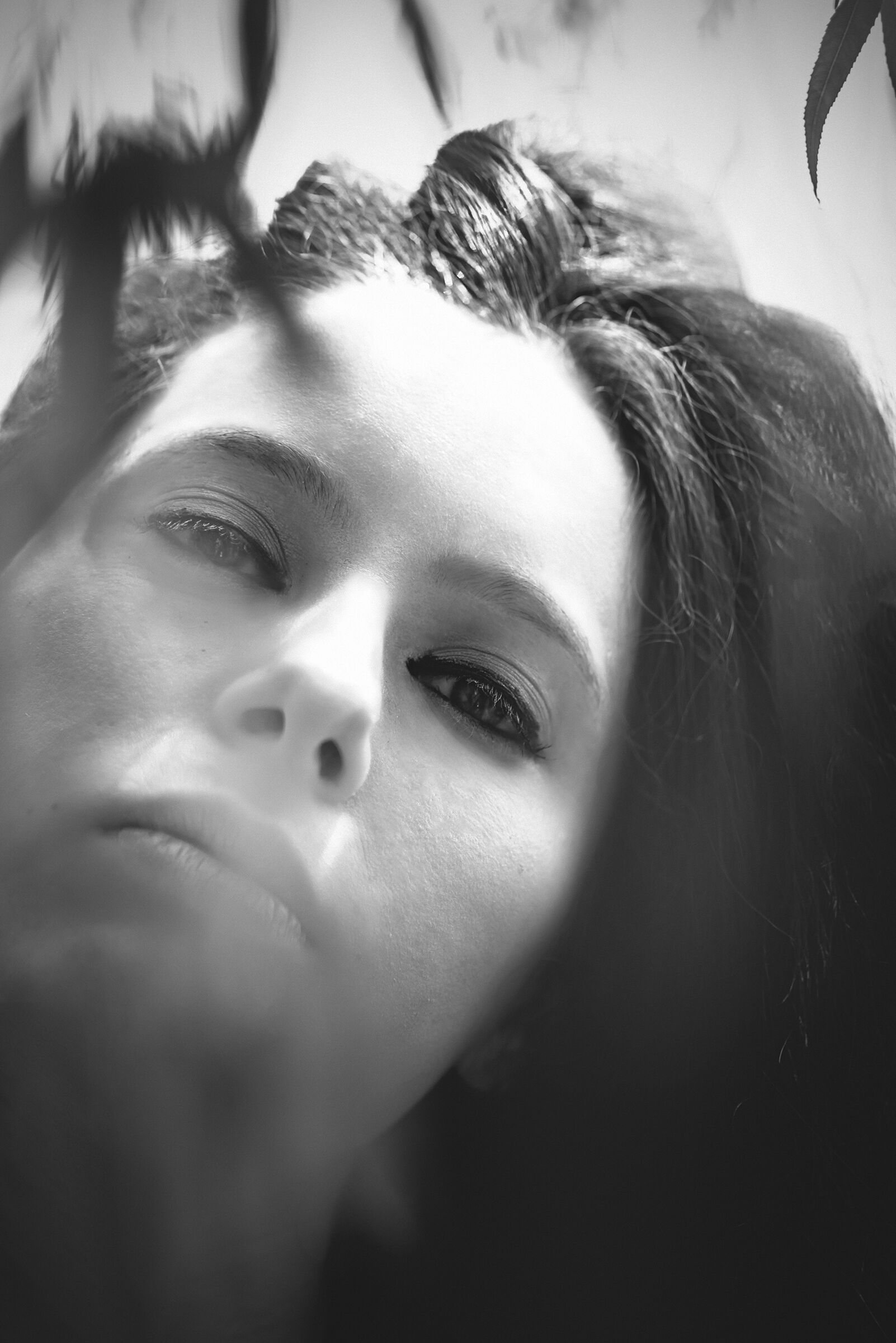 Deep into the Green, BW, 2 (shooting final)