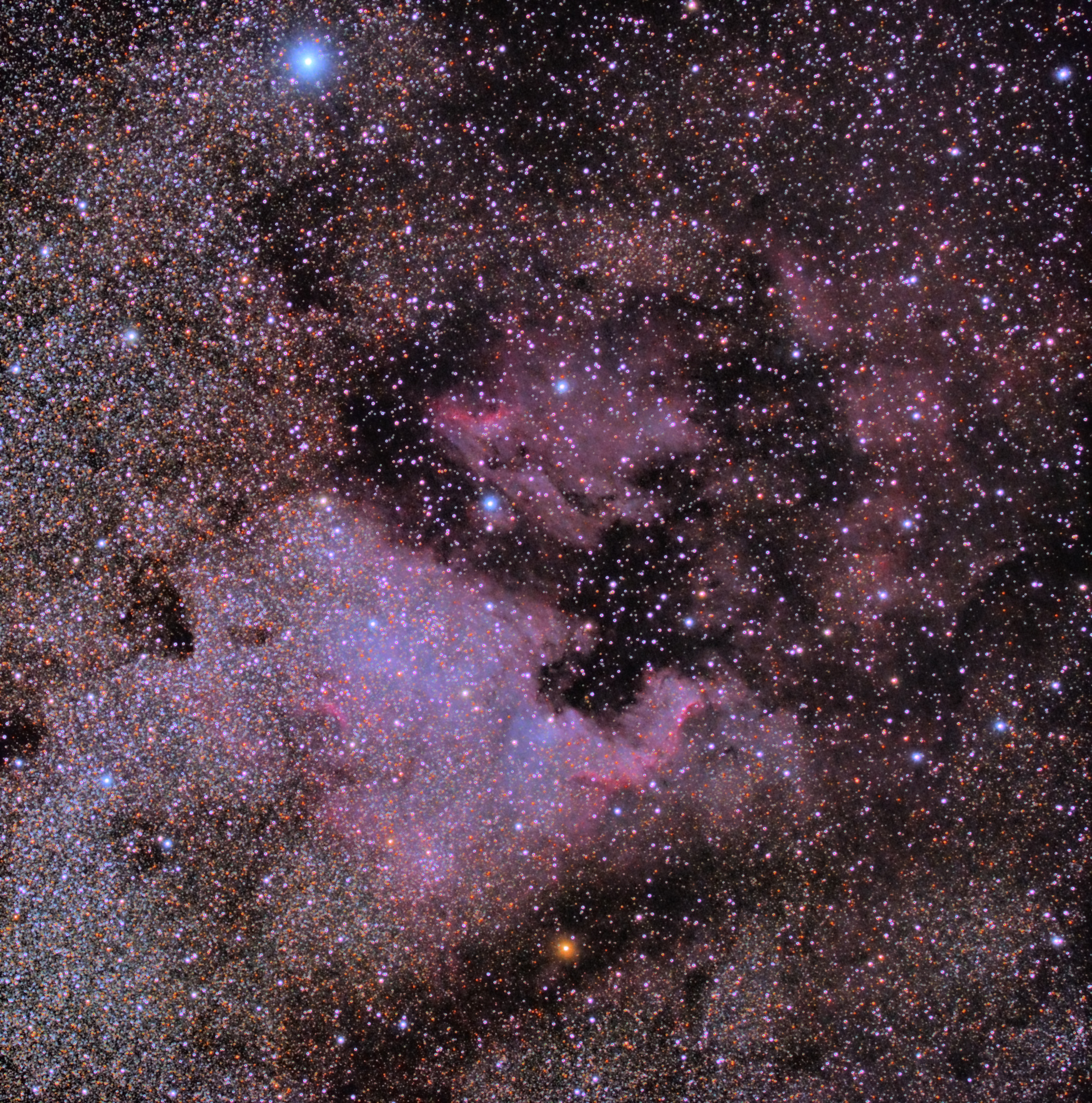 NGC7000 - North America Nebula