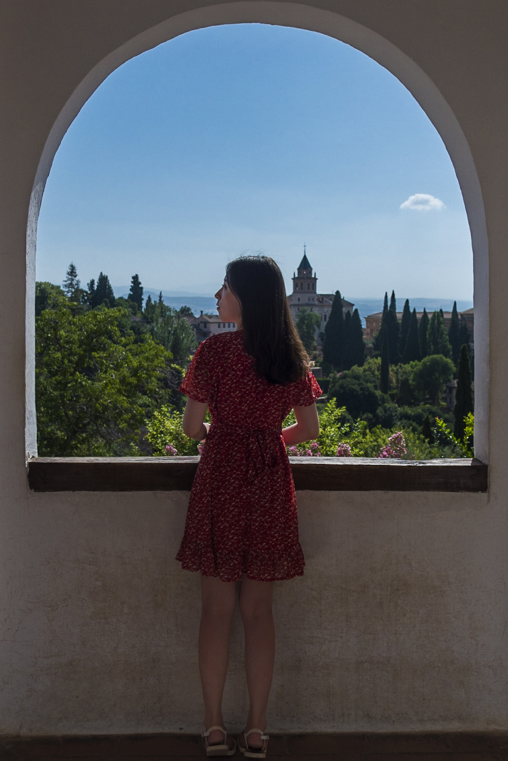 La finestra nel cortile