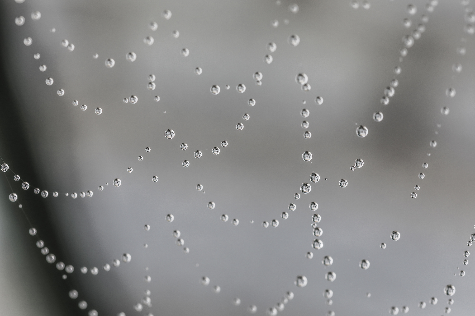 Descrivimi la perfezione...