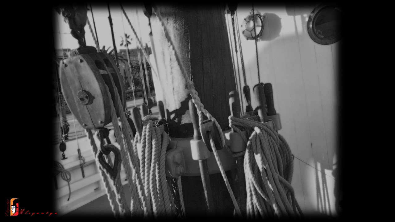 "Navigando..." (Sailing by Sea...)