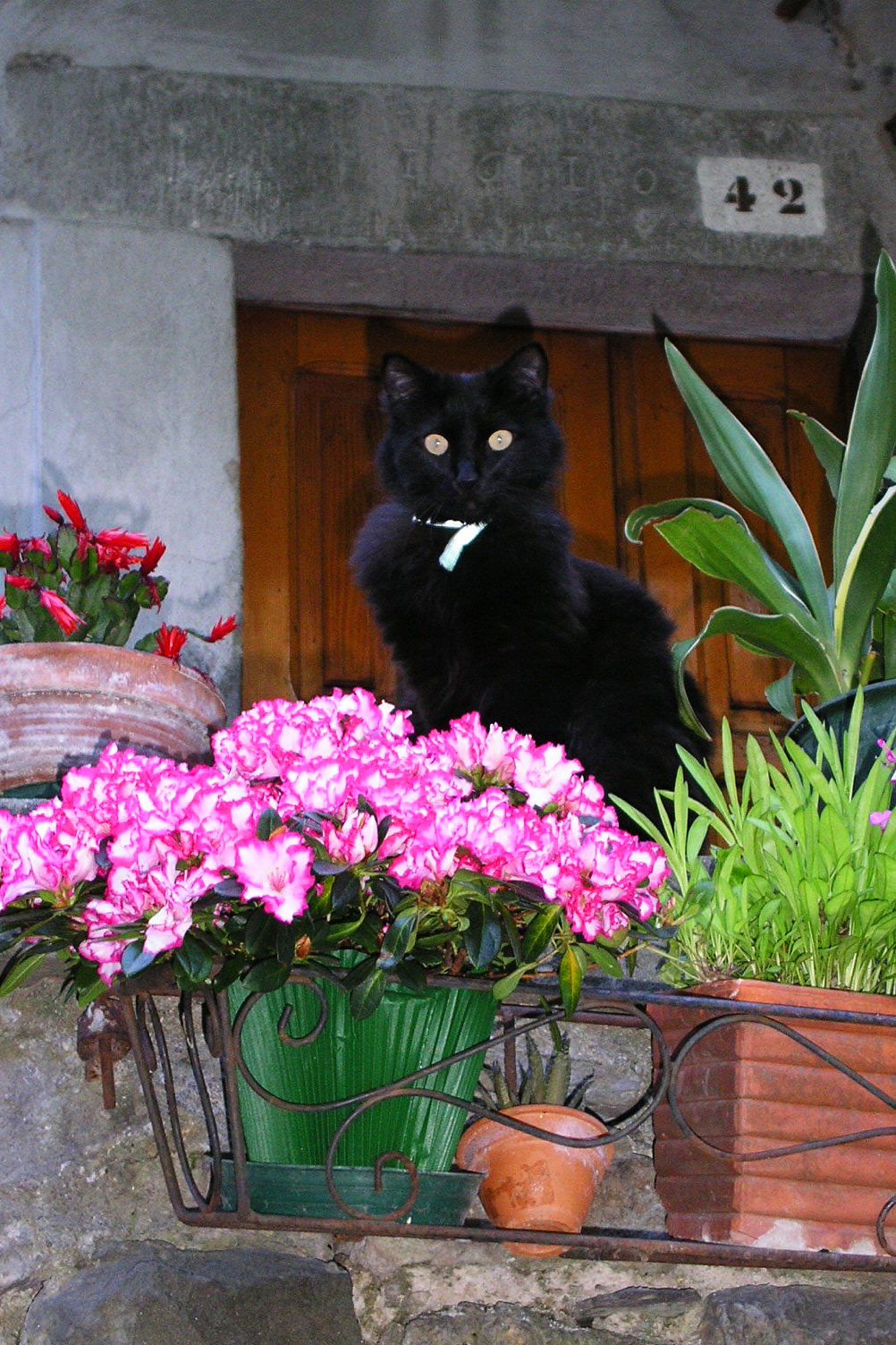 Il guardiano di casa