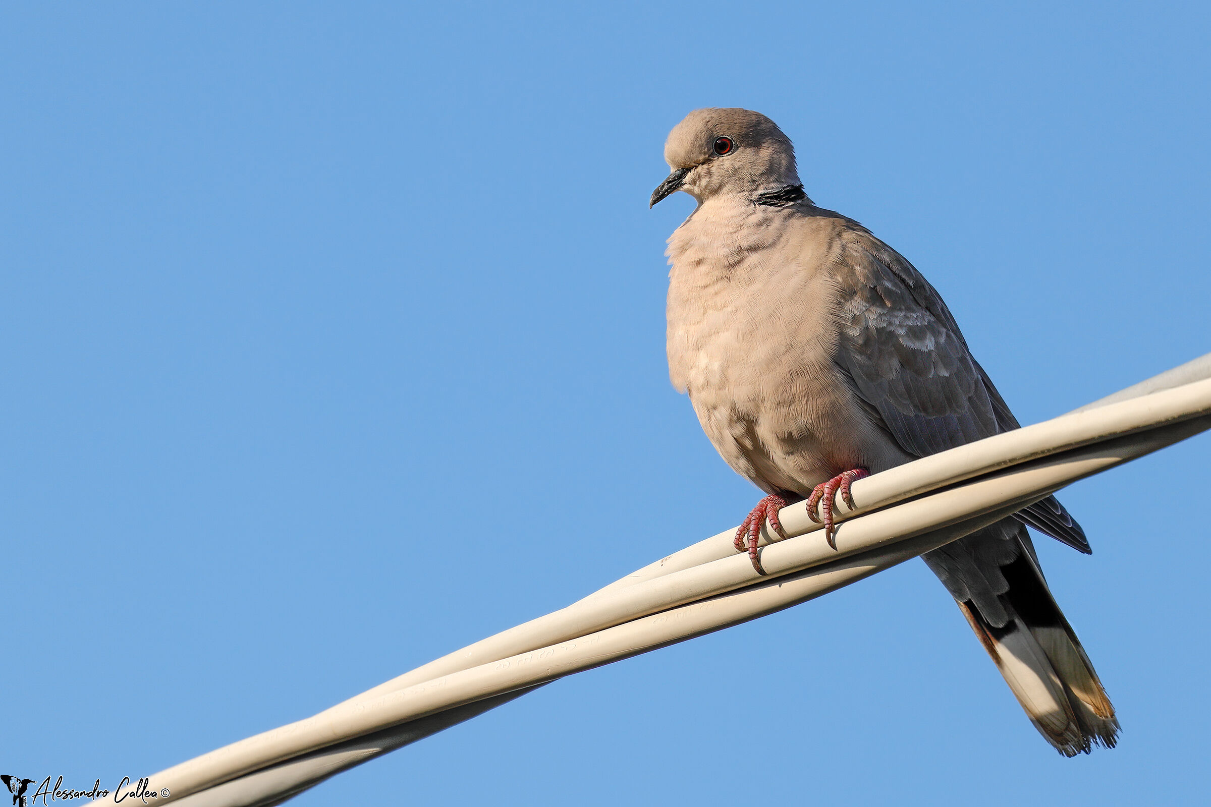 Se non si può uscire...