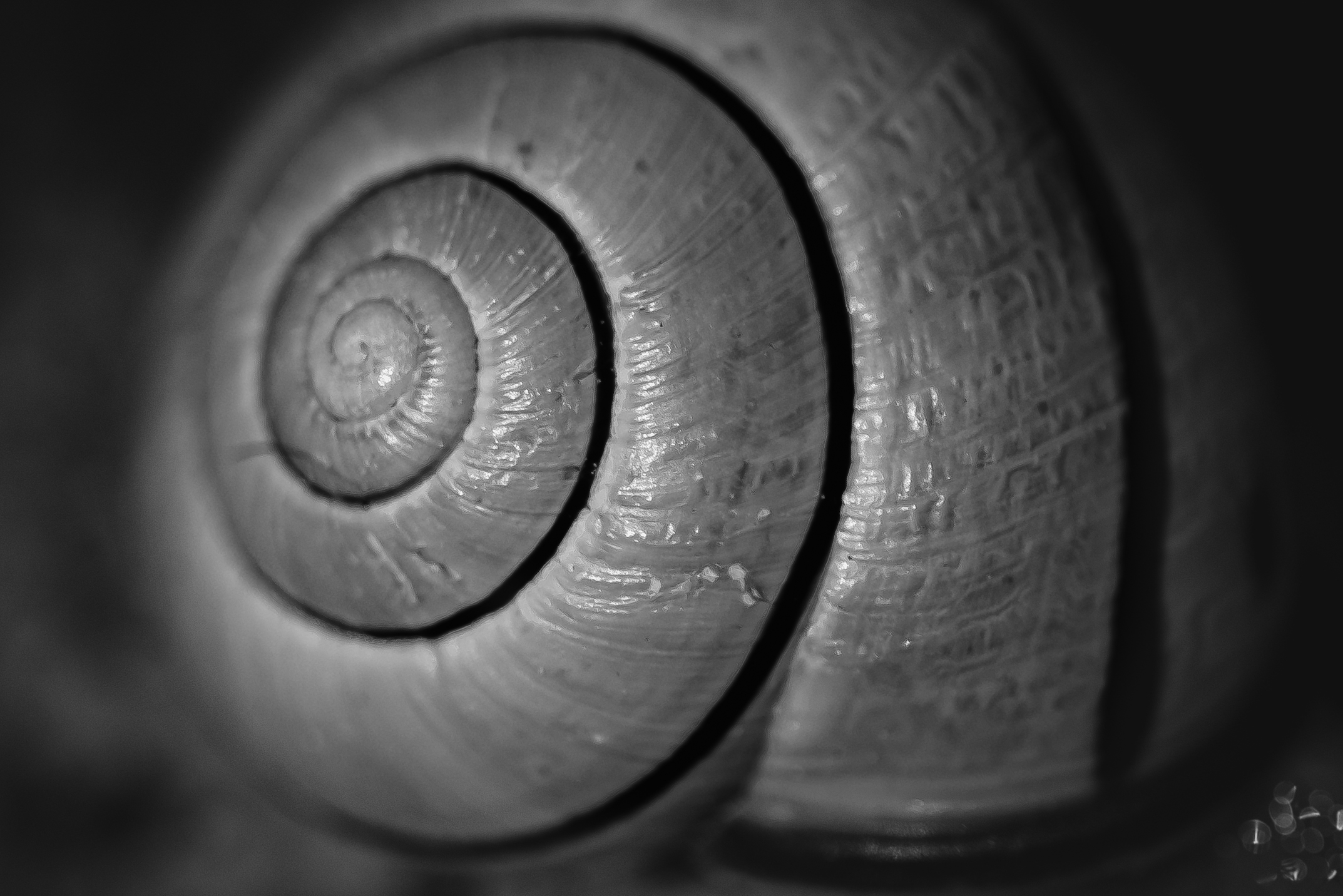Spirale