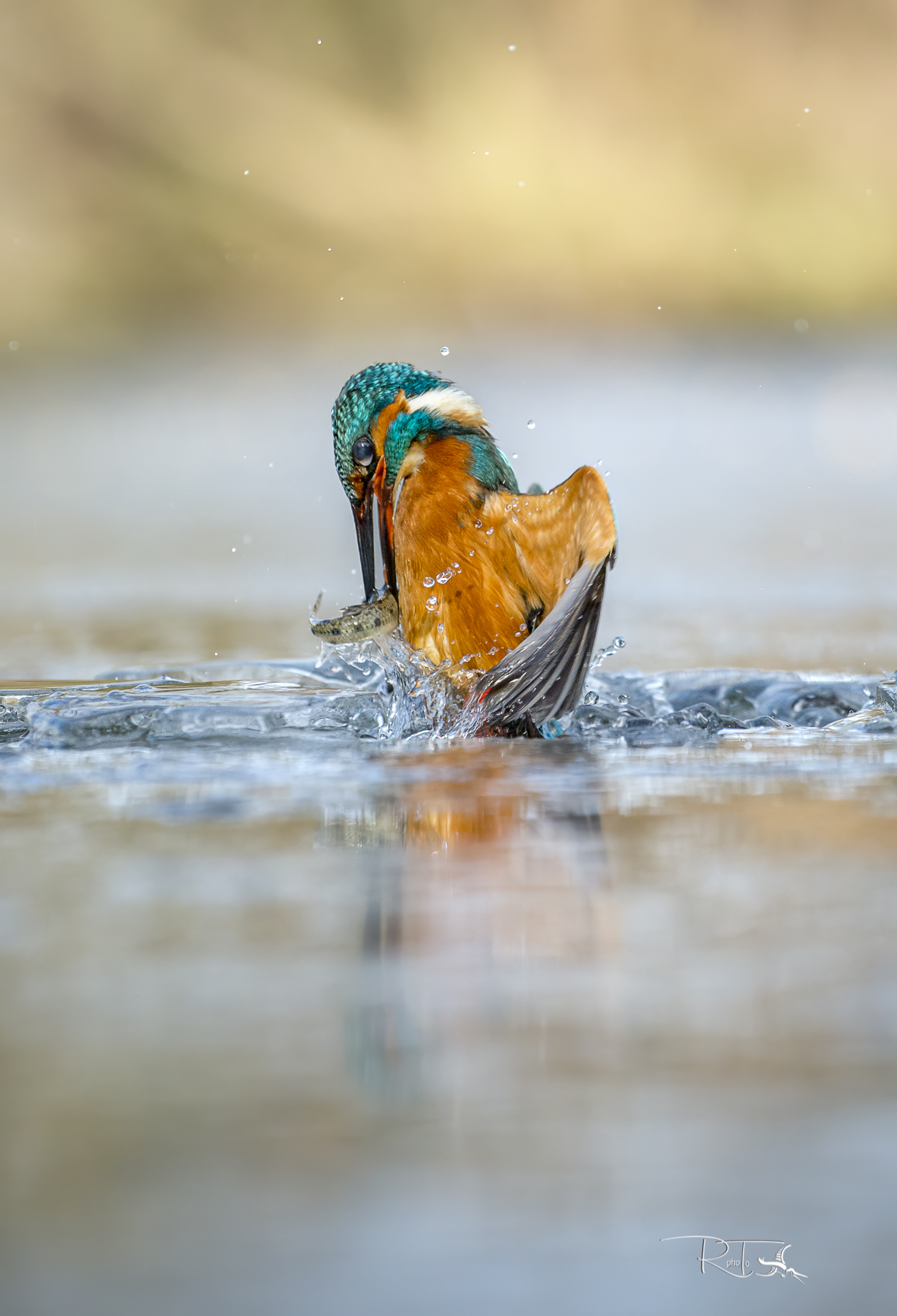 fishing in the ice hole
