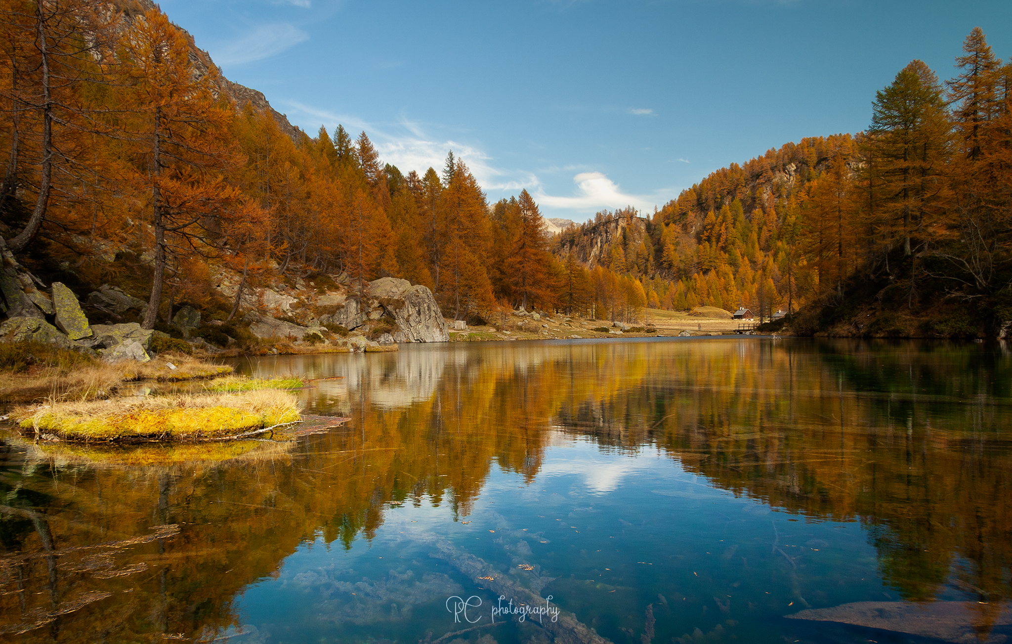 Untitled Photo