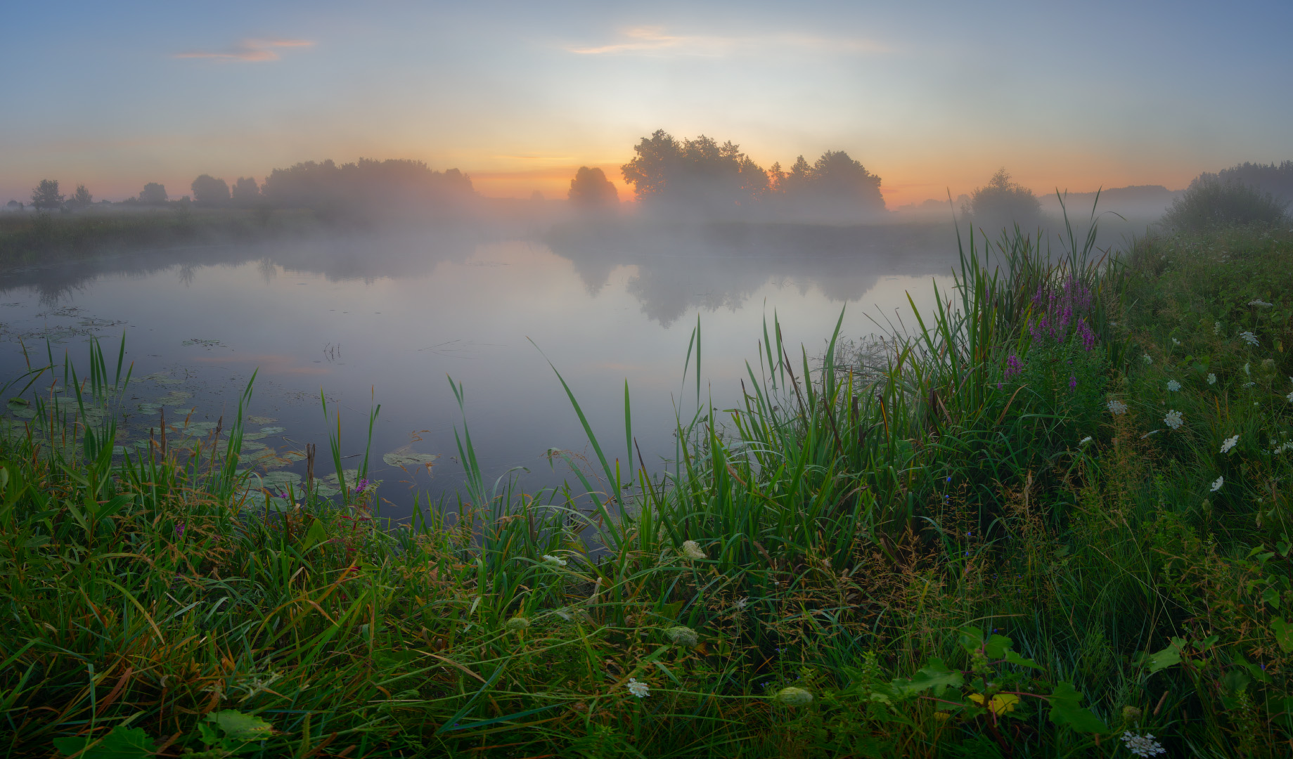 Morning on the Volchya river