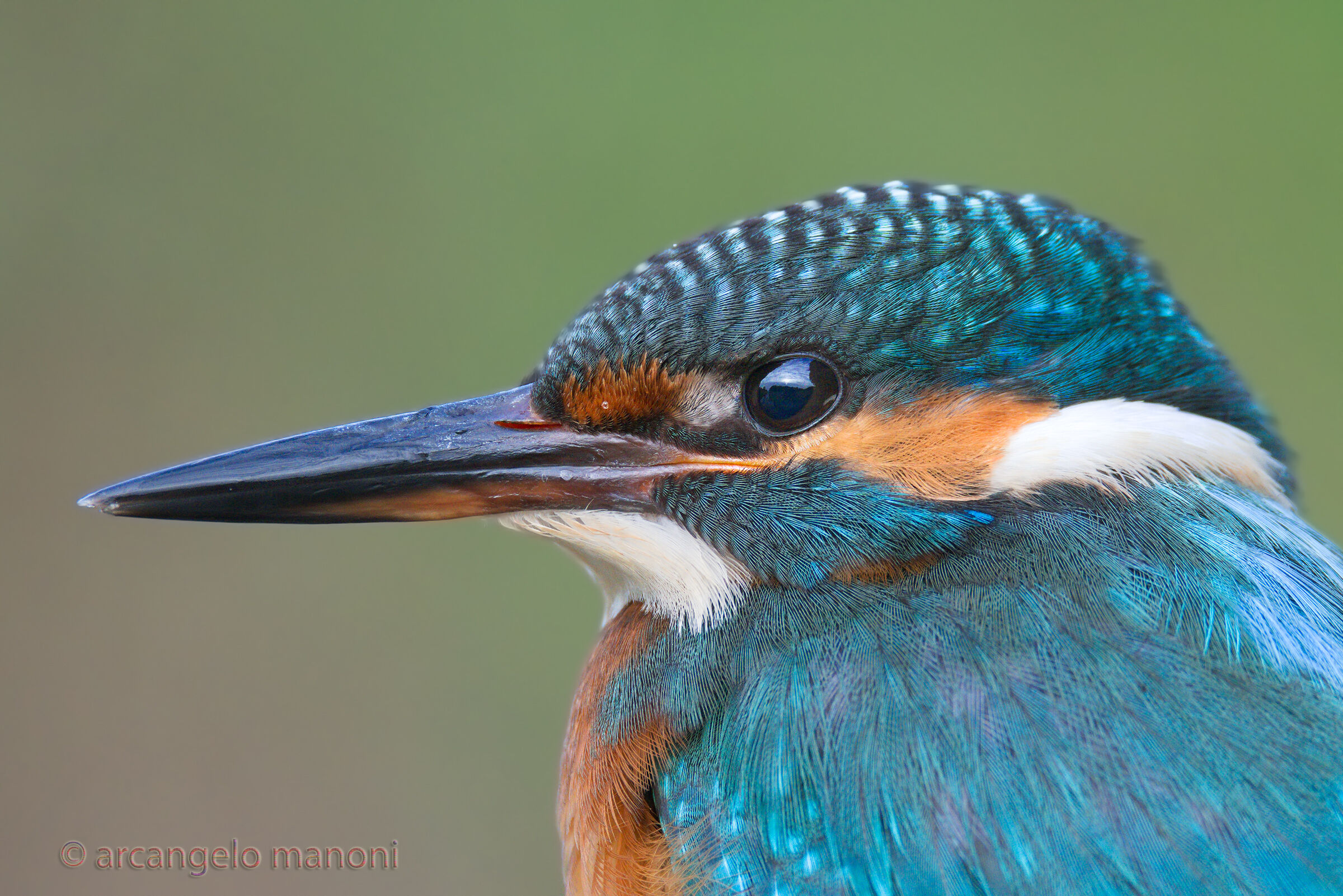 The martina up close