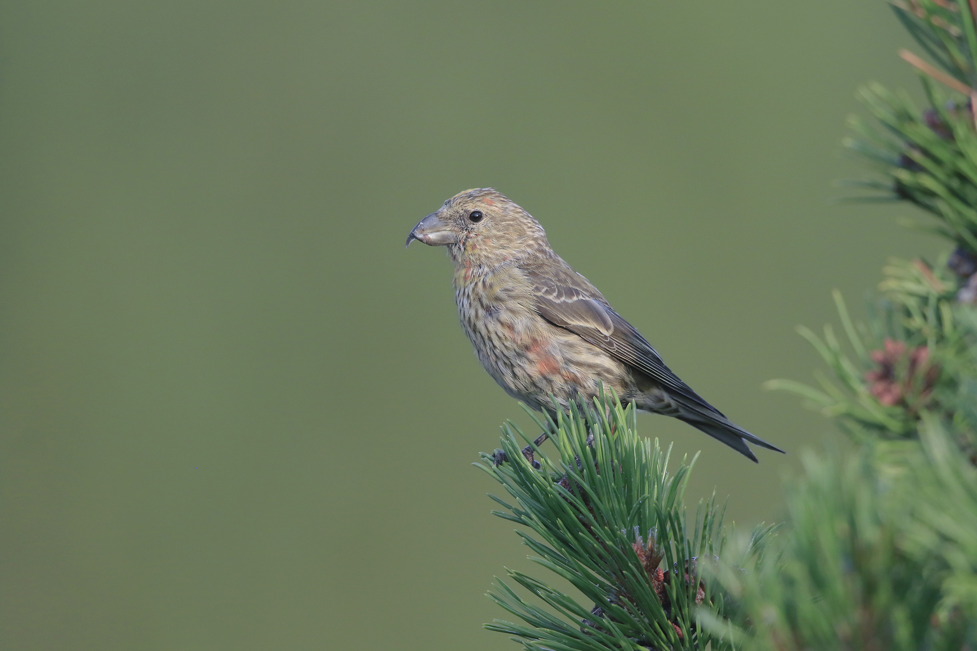 crociere al naturale