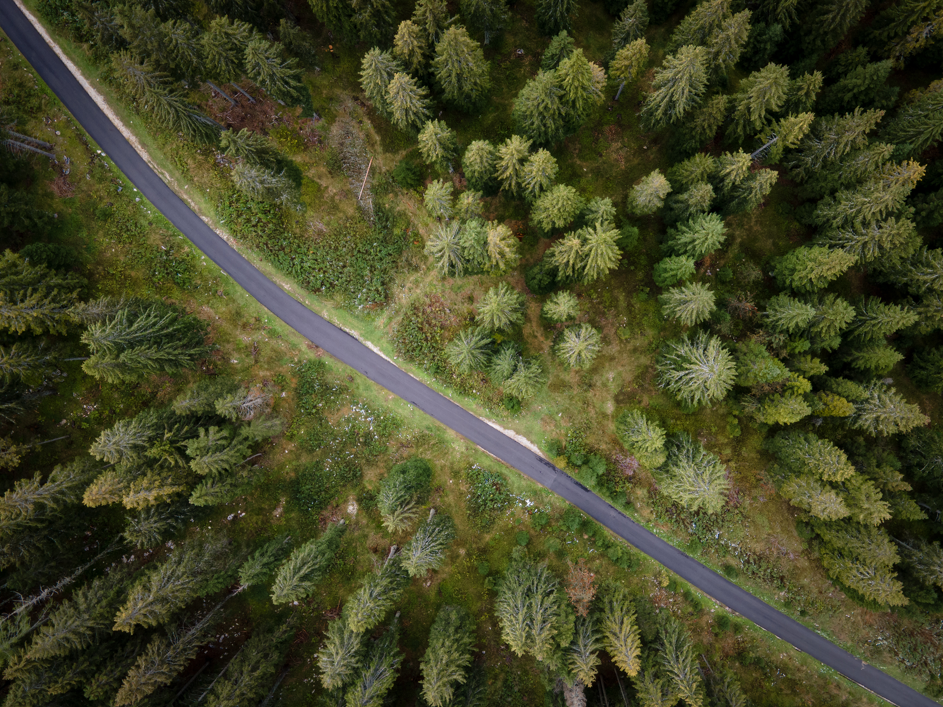 Going down from the plateau