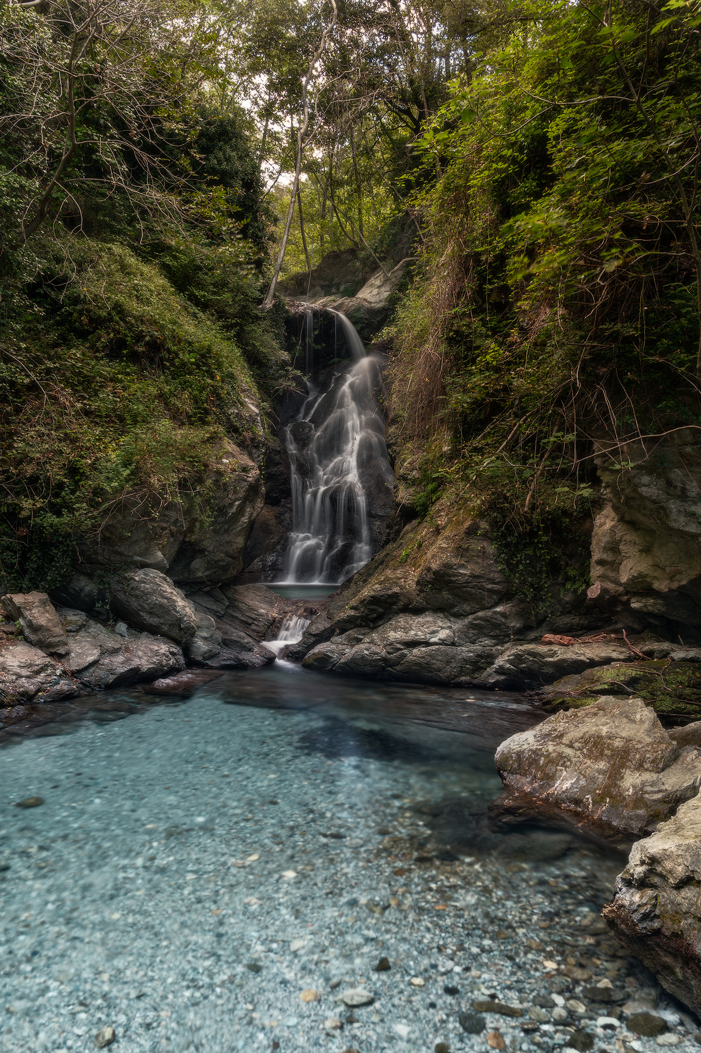 Cascata delle libellule blu