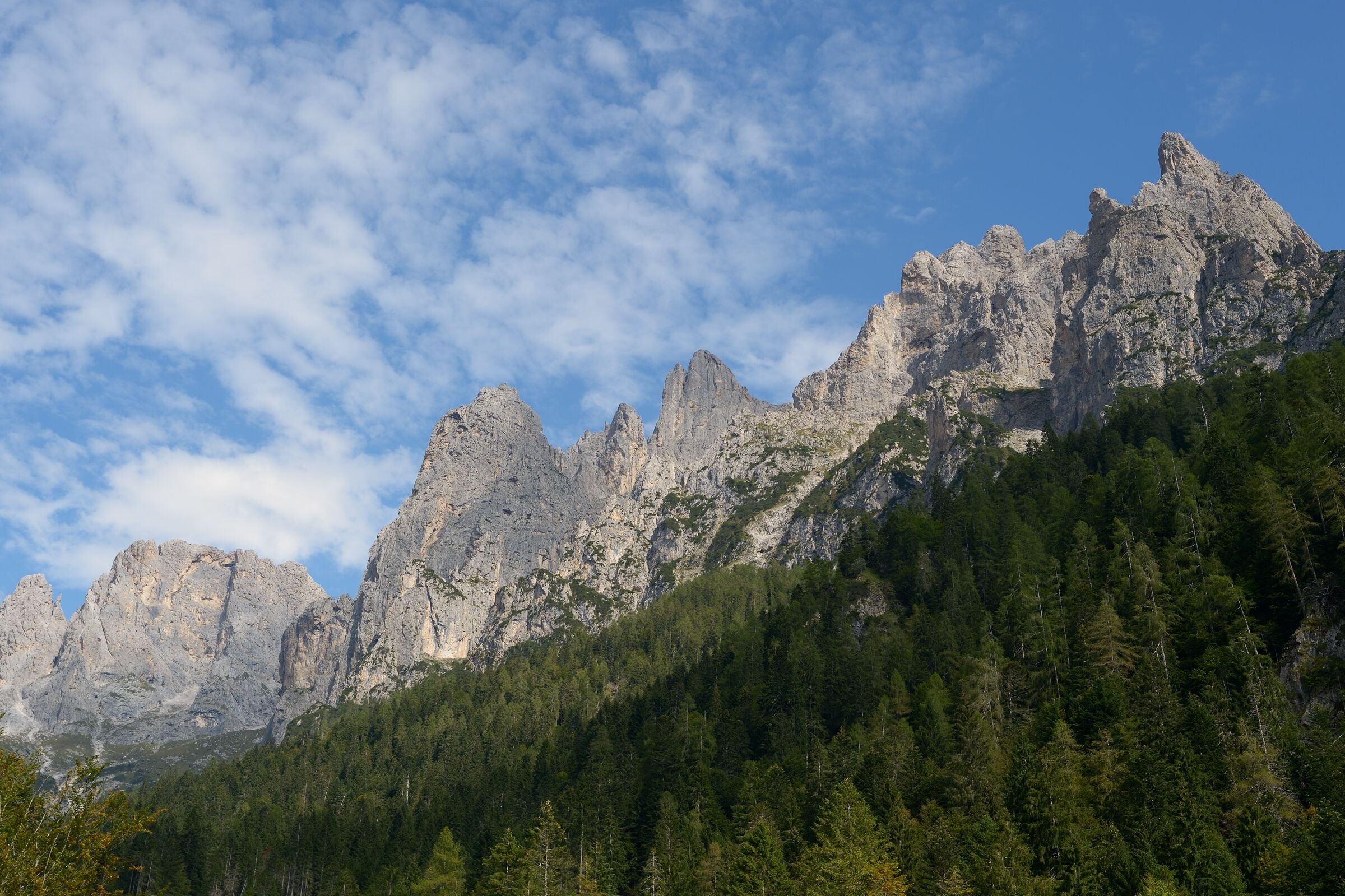 Val Canali (Pale di san Martino)