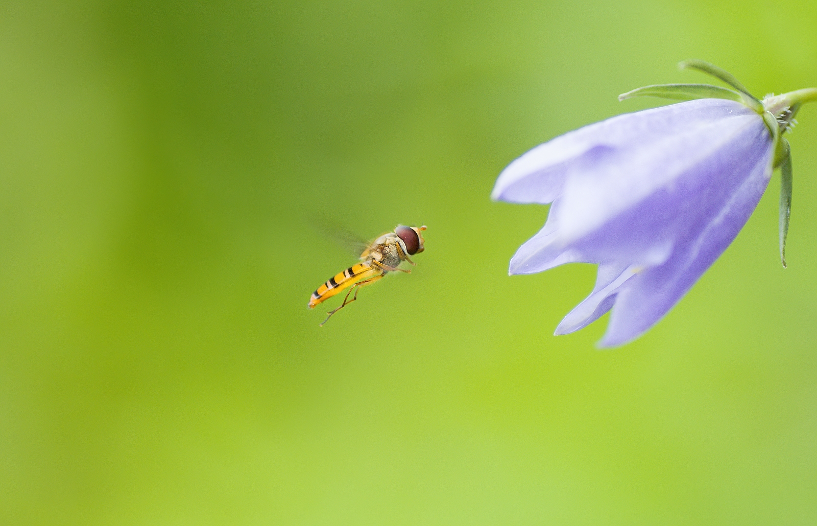 arrival for breakfast