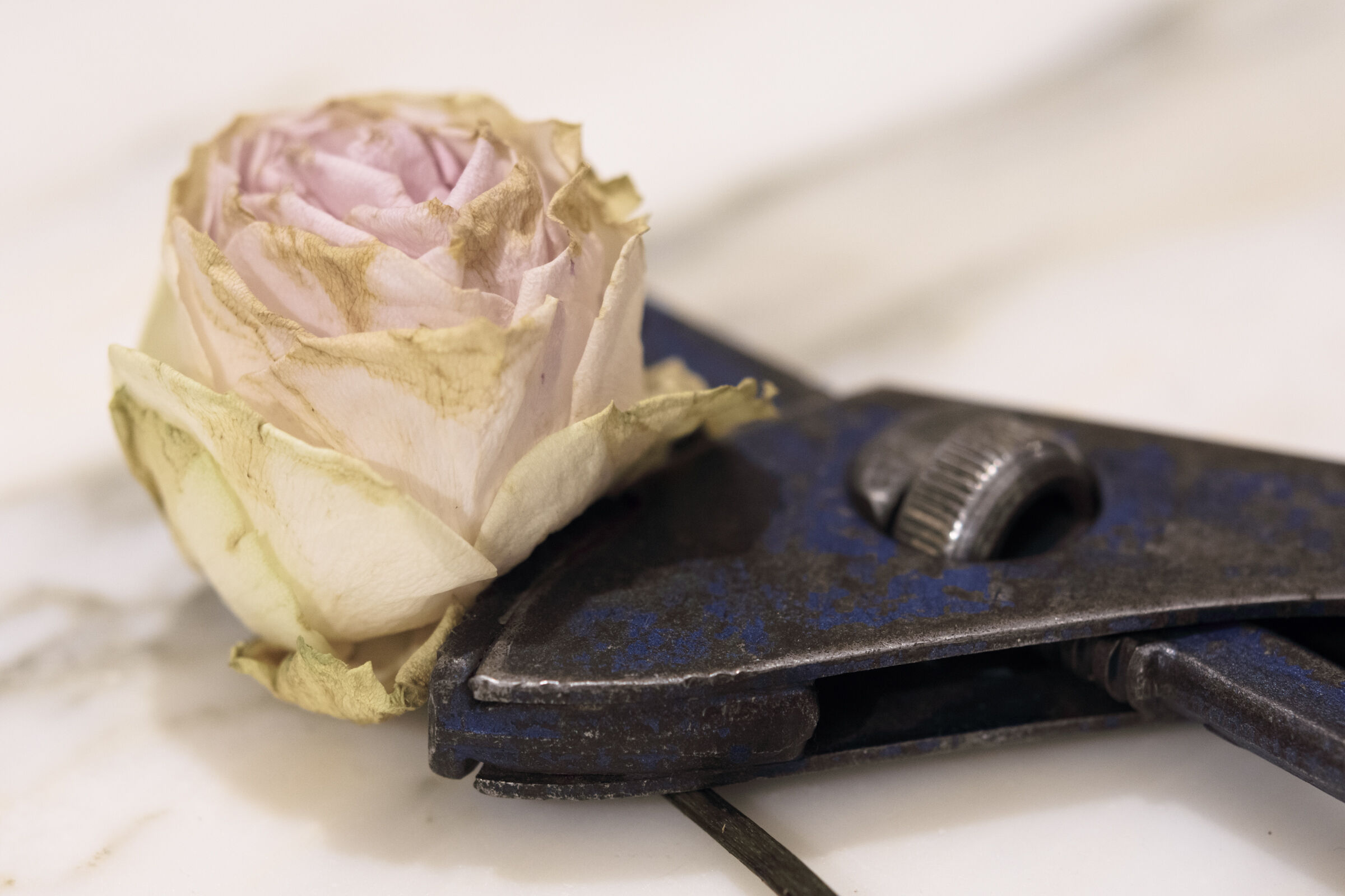 My father's screwdriver