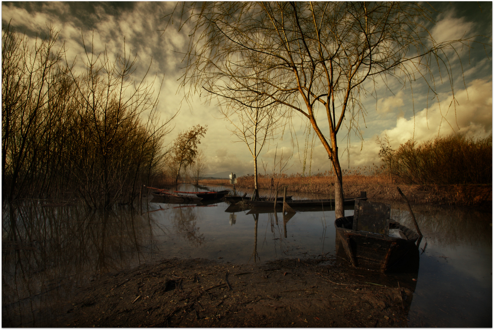 Tribute to Flemish painters
