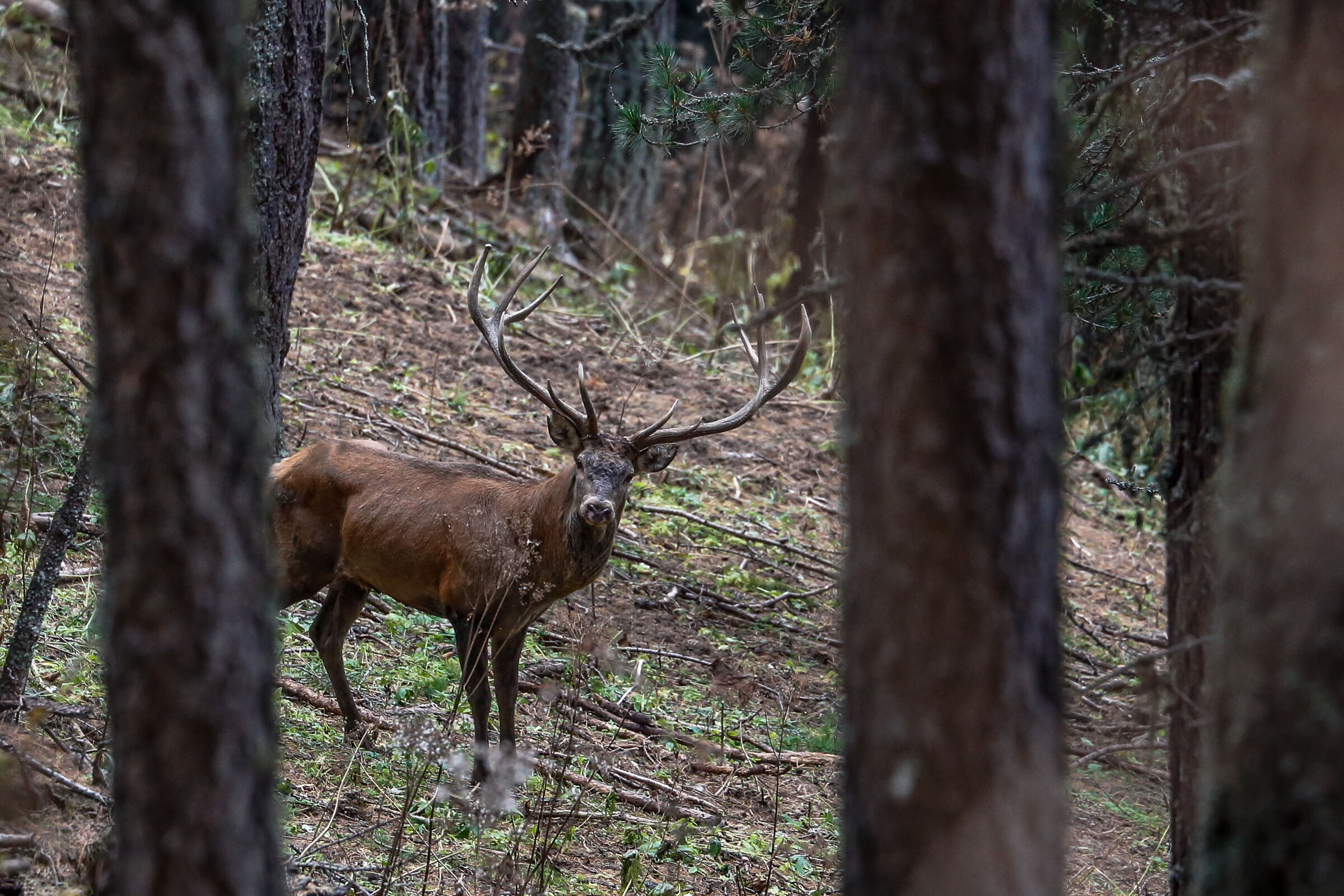 Incontri di settembre