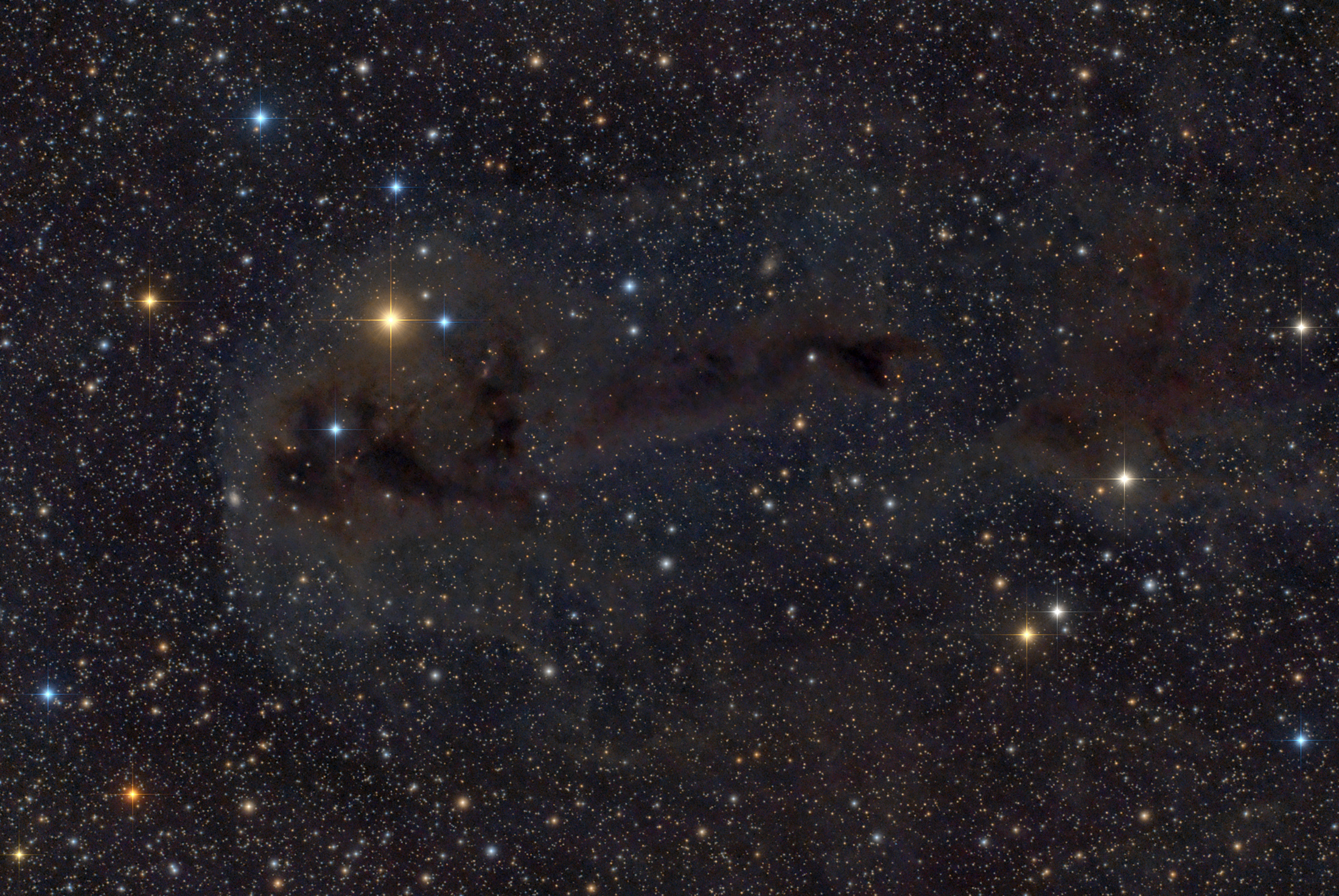 LDN 1251 (Fishing Frog)