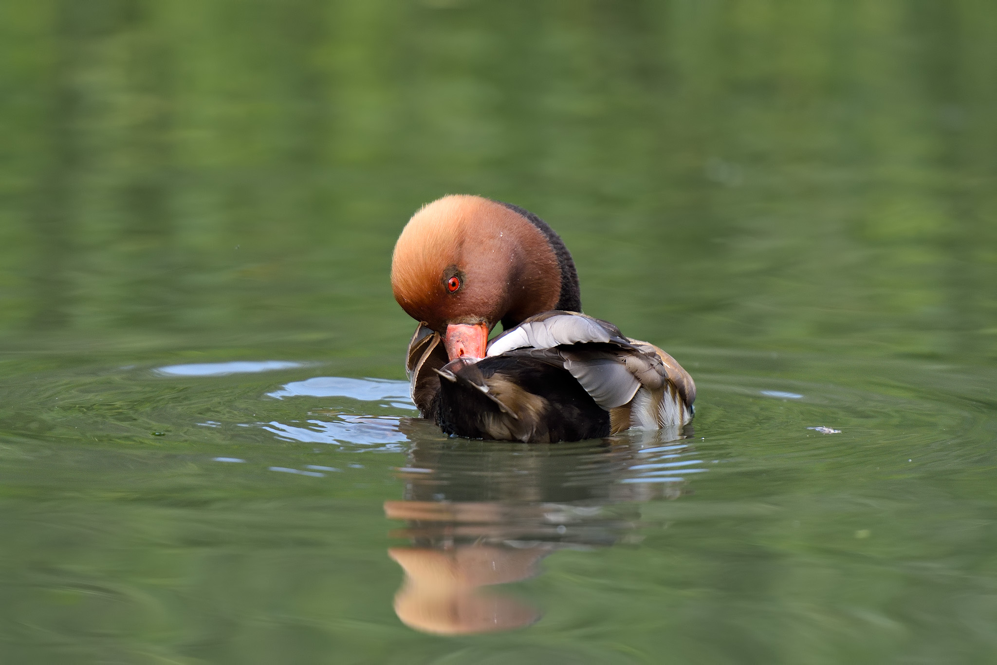 a little bit of stretching