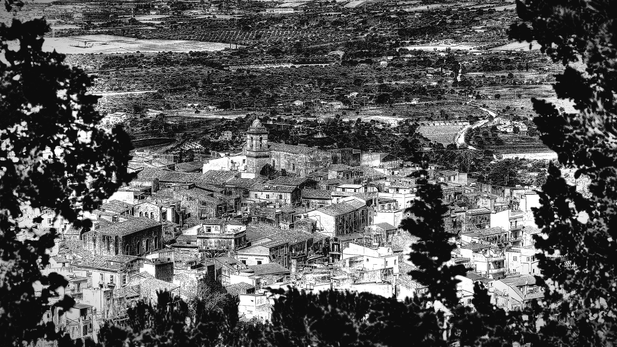 The country among the pines