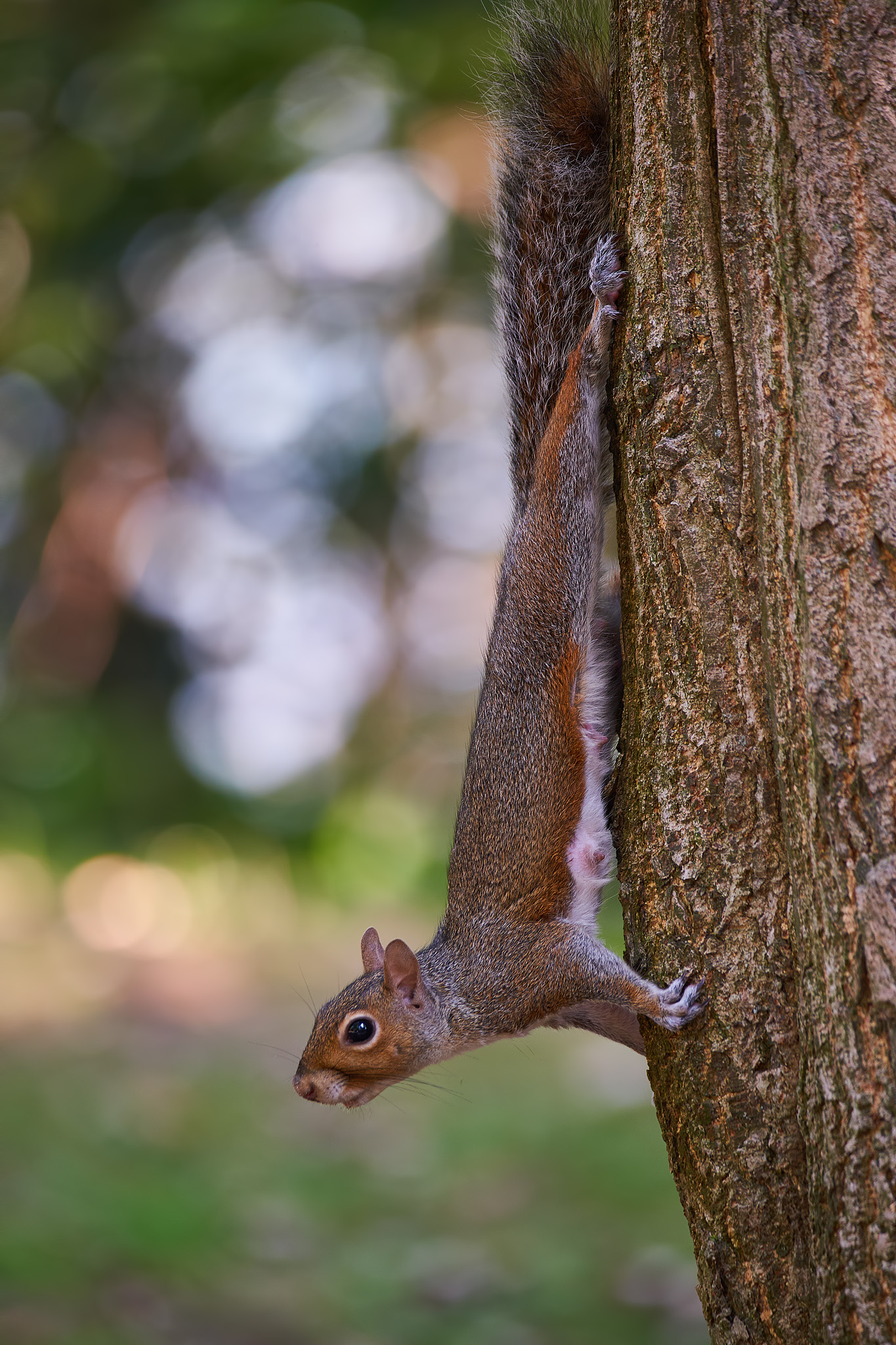 a little bit of stretching 2