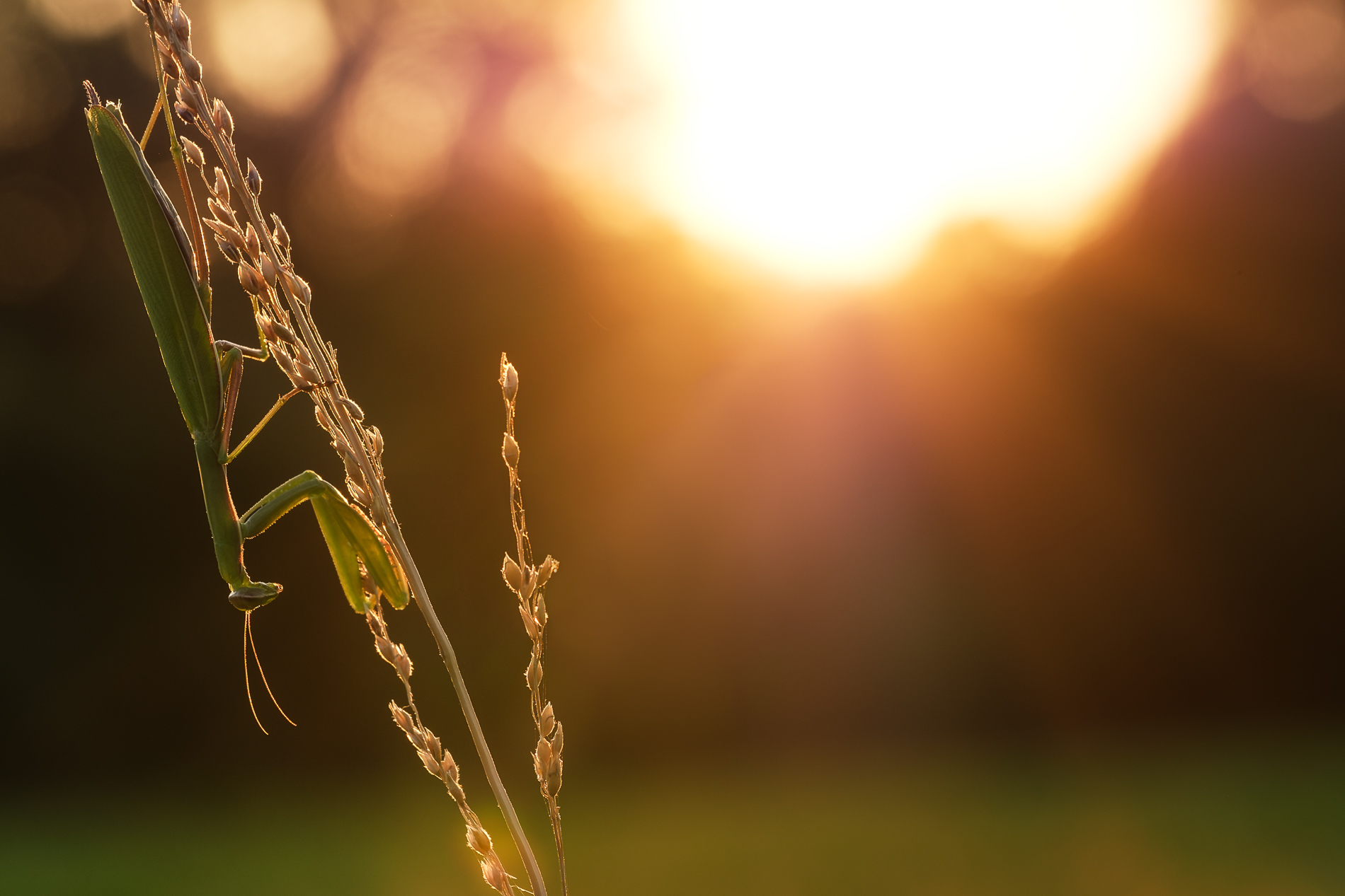Sul finire del giorno...
