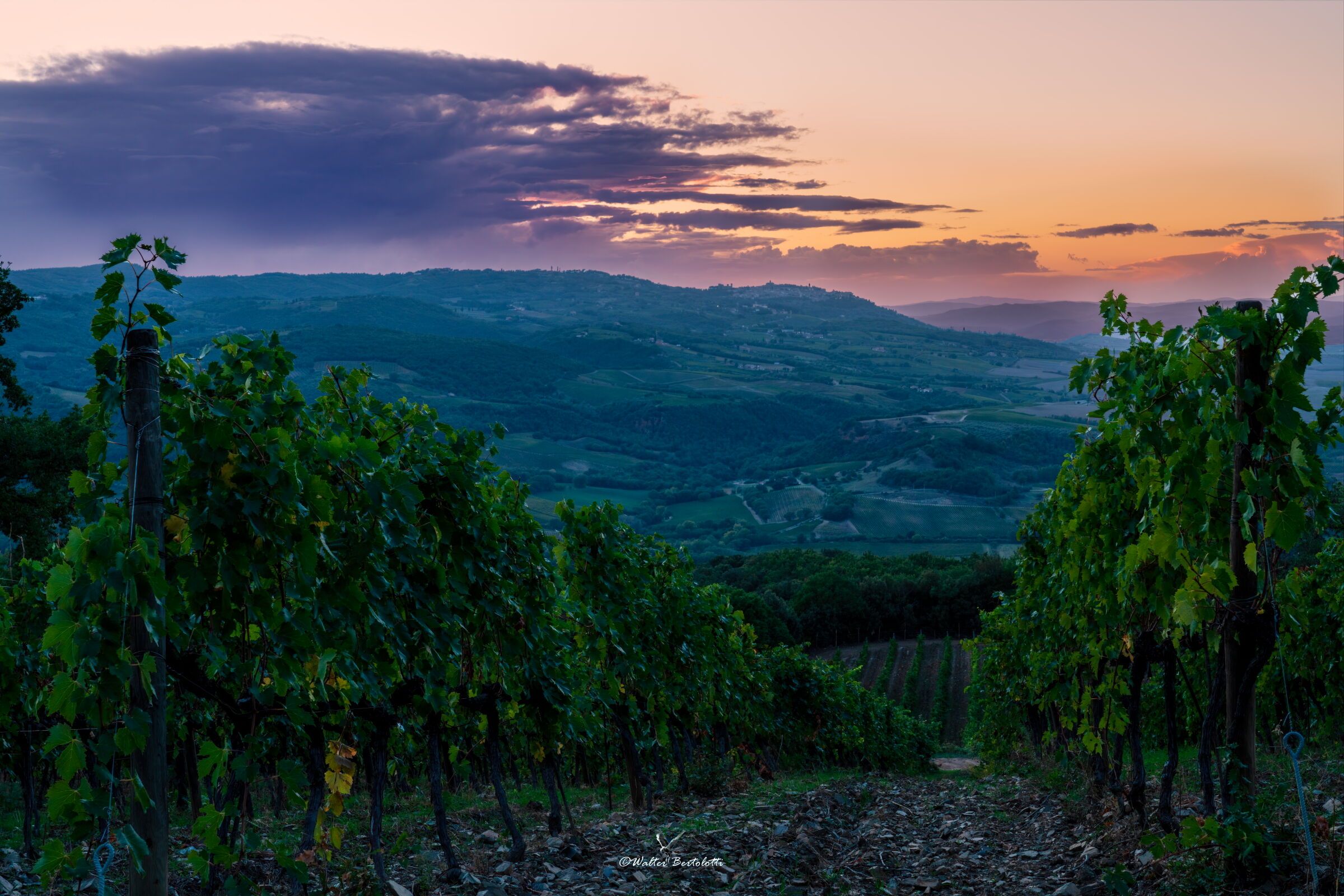 verso Montalcino