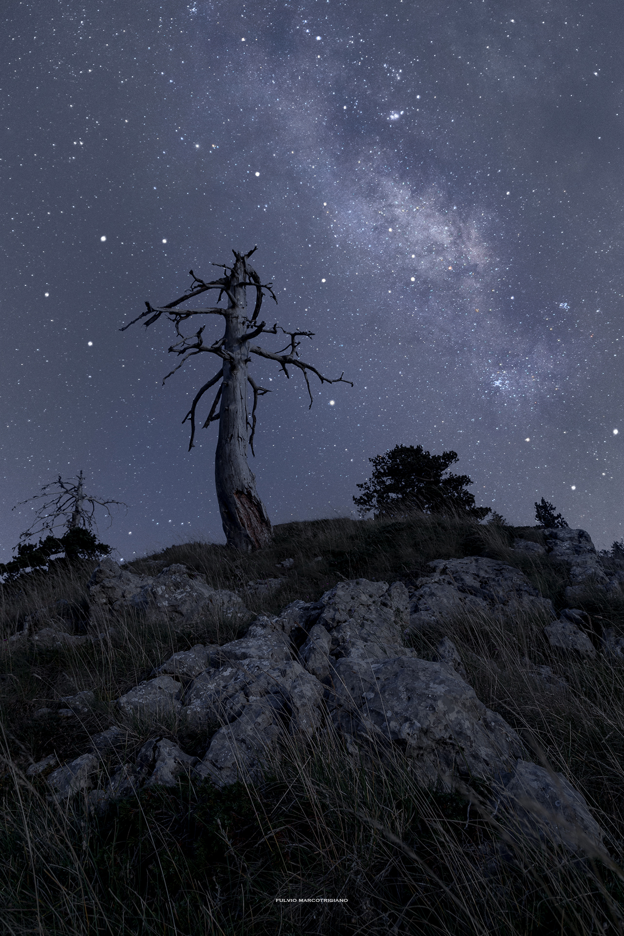 King of the mountain