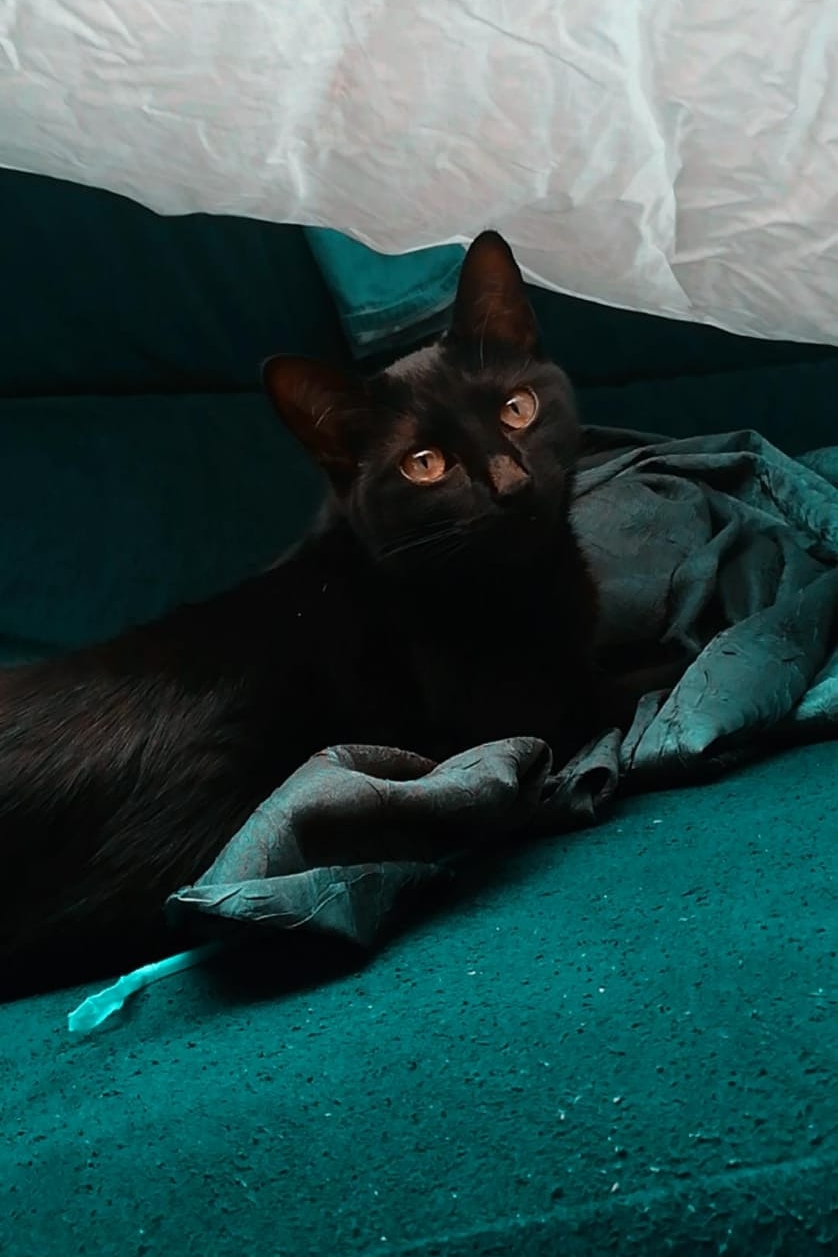 Improvised photo set