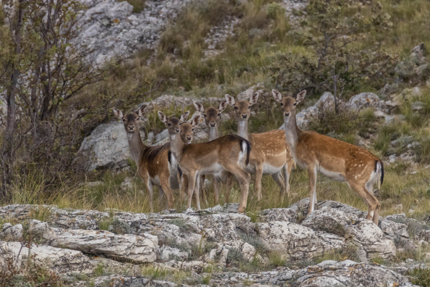 Ritratto di famiglia