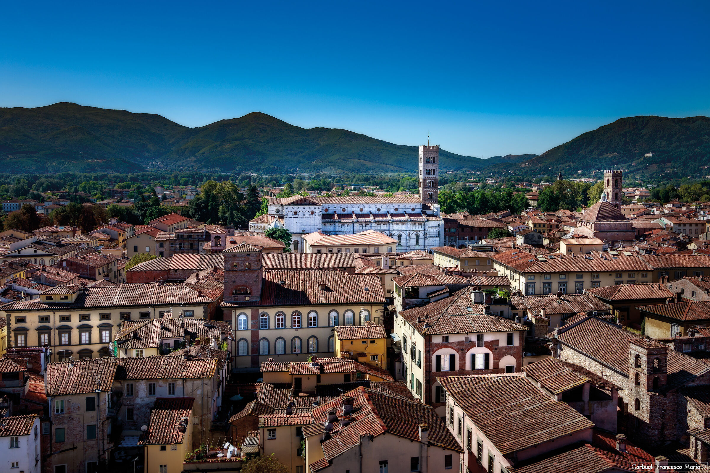 Lucca Cathedral by Torre Guinigi
