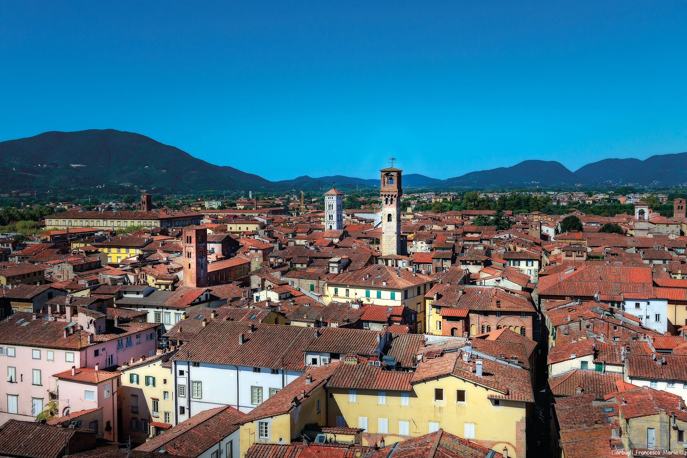 The rooftops of Lucca