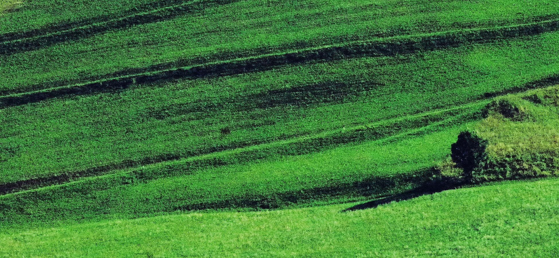 trentino a.a.
