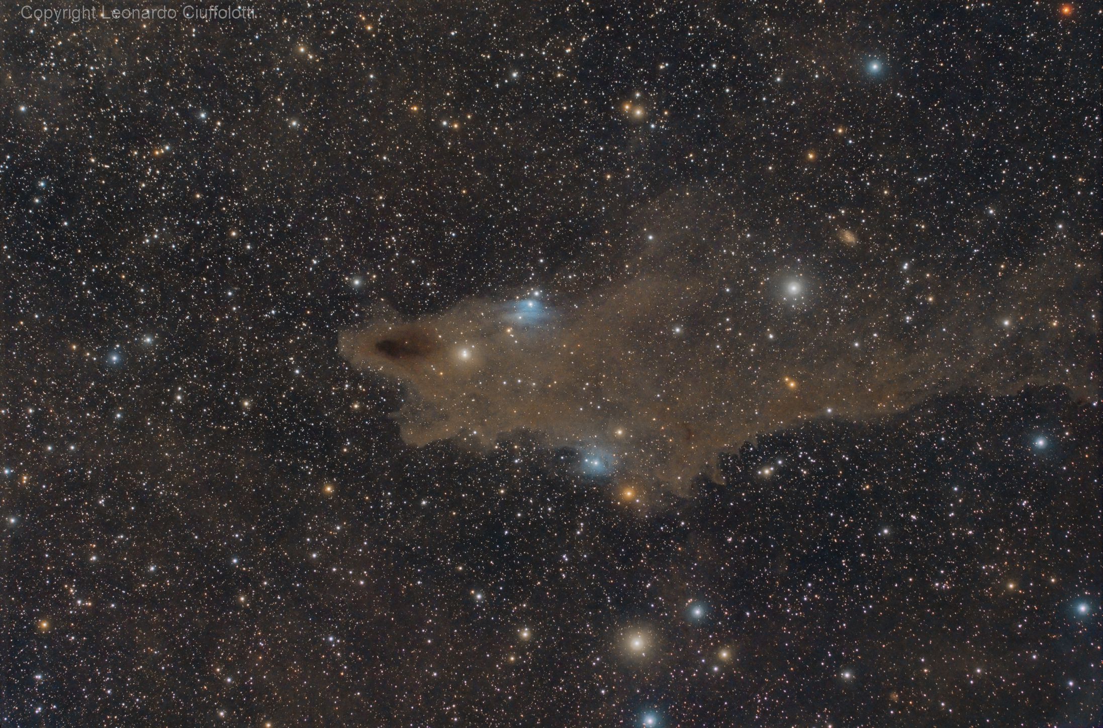VdB 150 in Cepheus