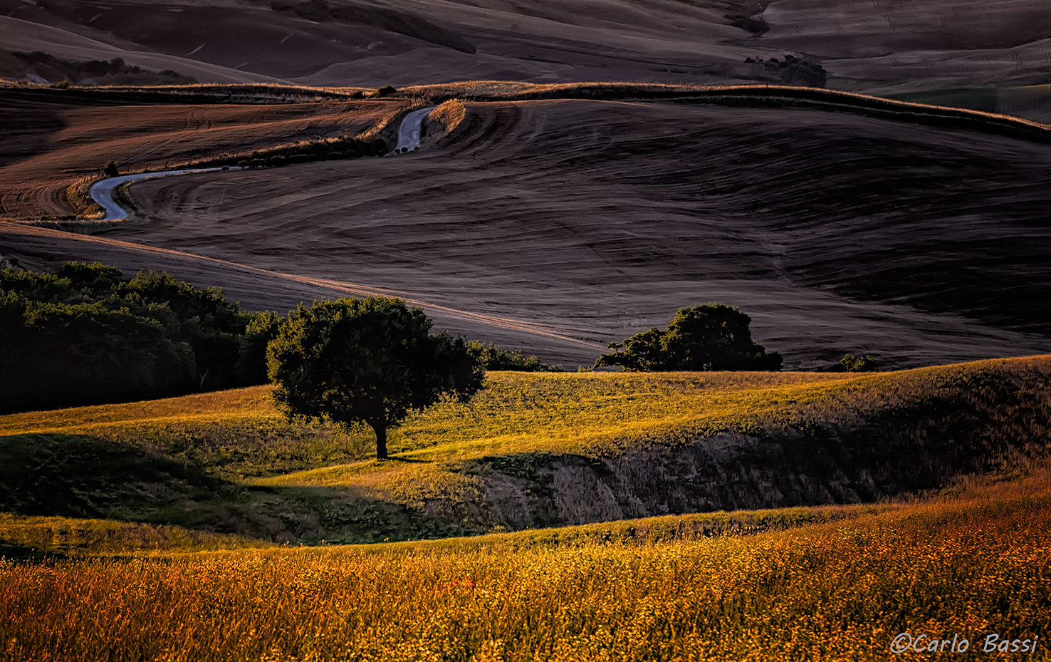 Val d'Orcia