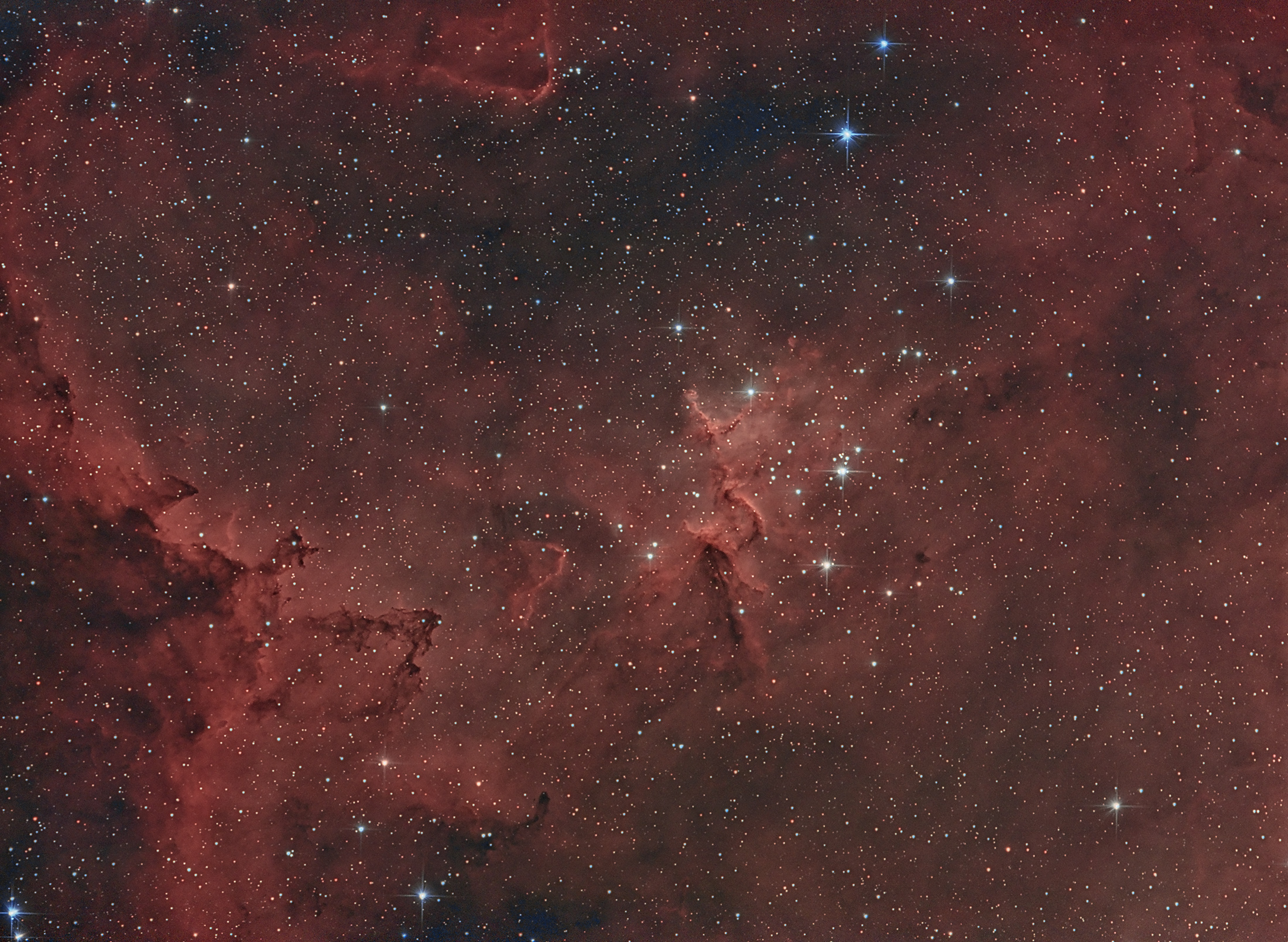 ngc1805 Il cuore della Nebulosa Cuore