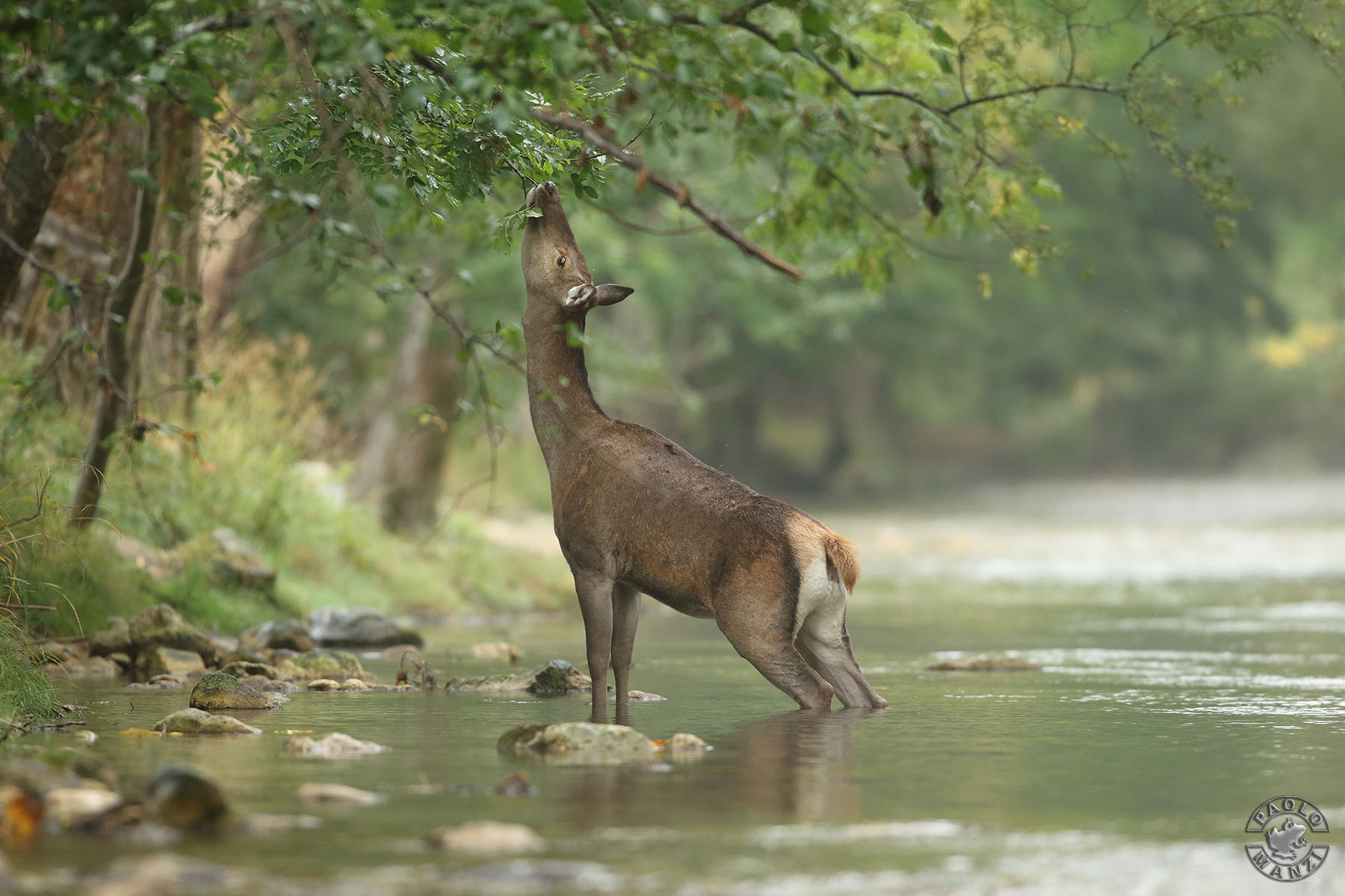 Breakfast at the river