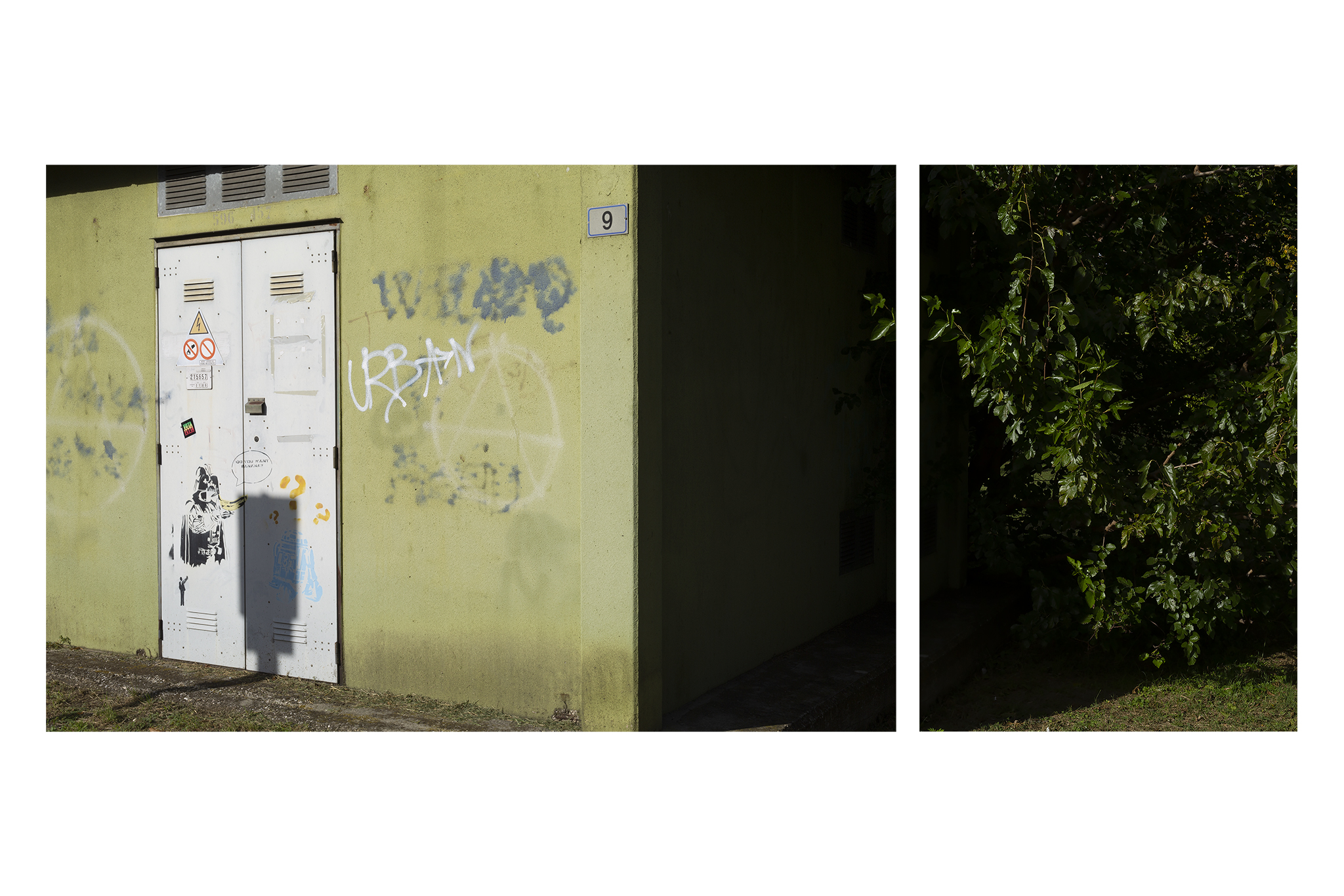 Untitled Photo