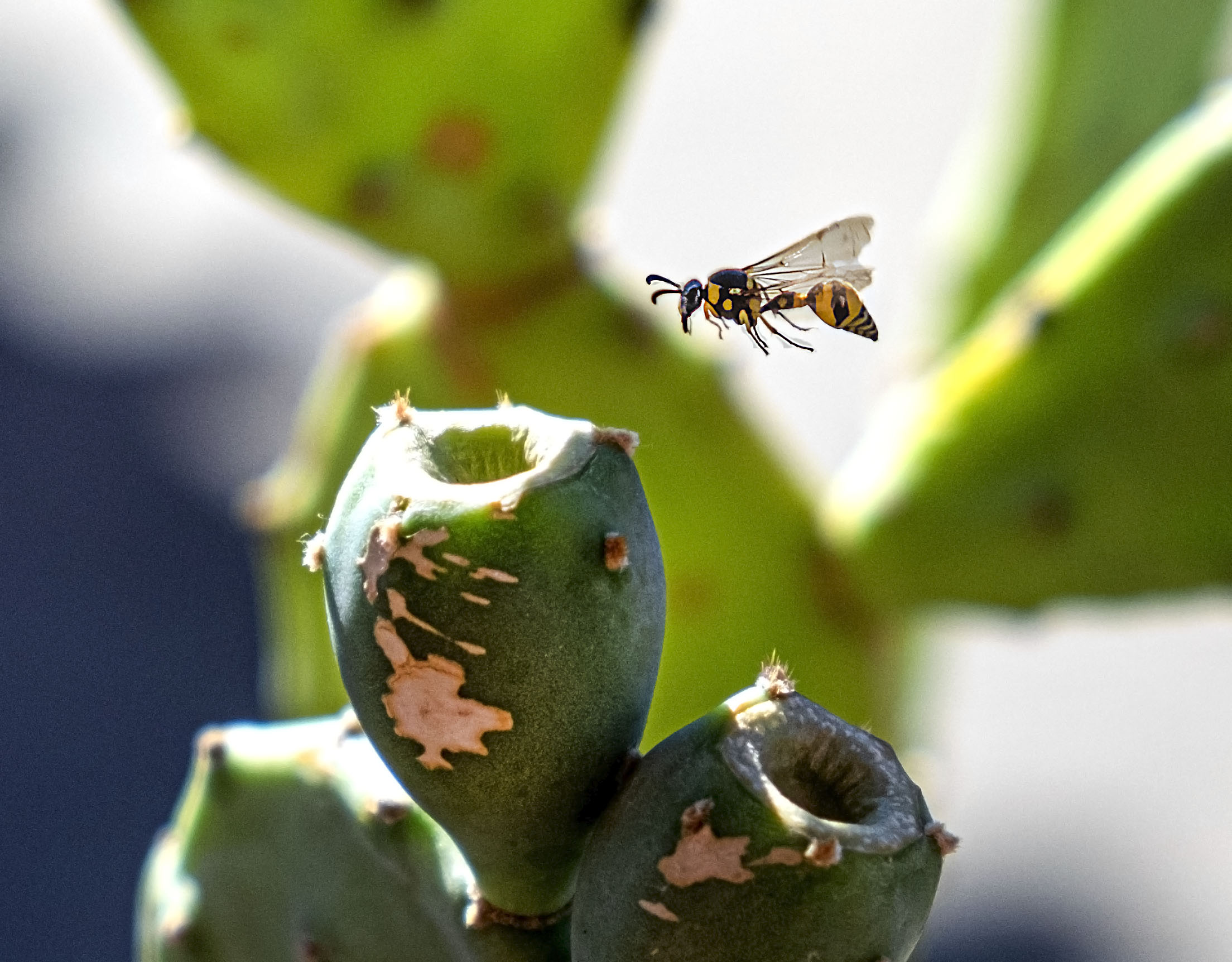 attterrragggioo......