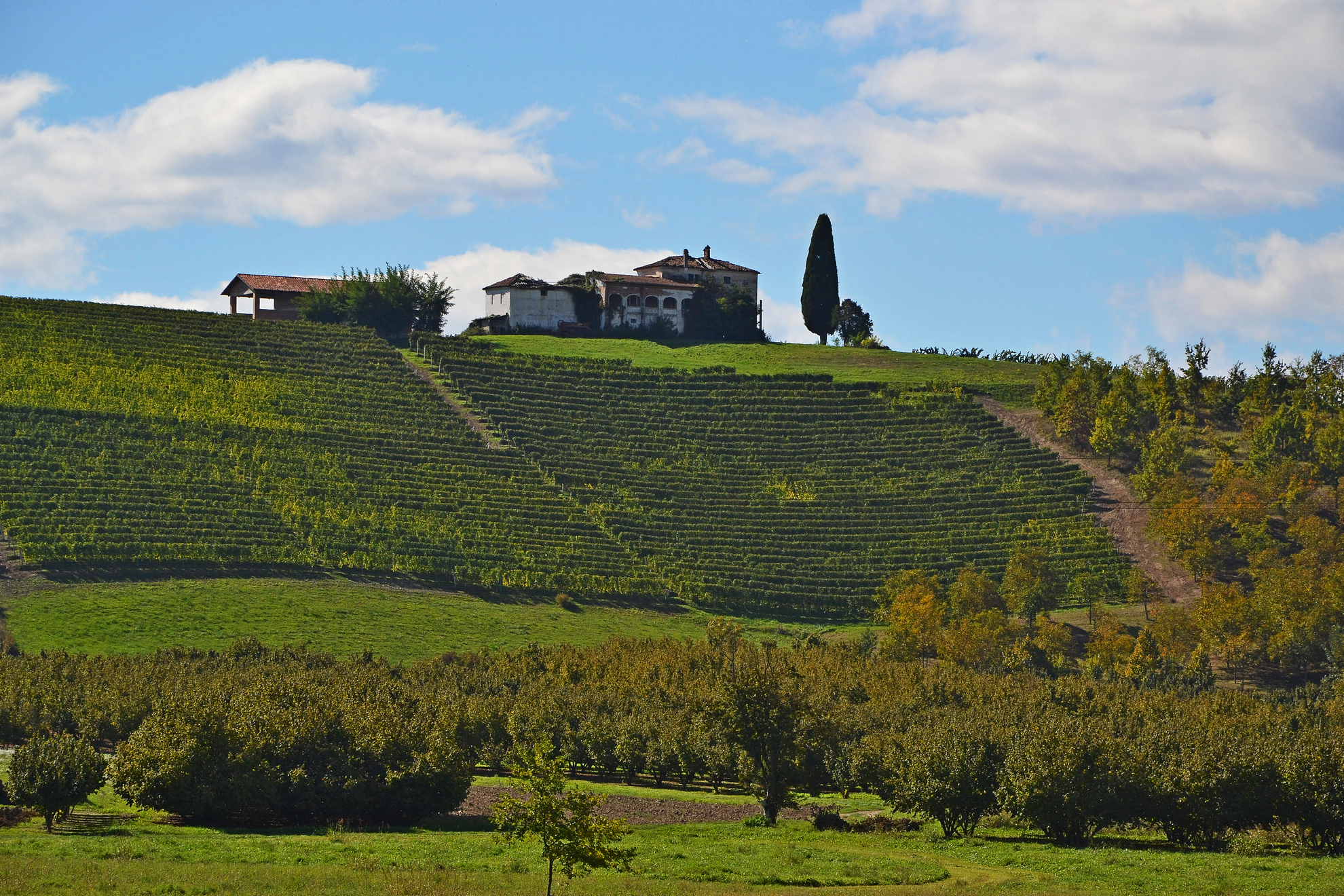 panoramas of the langhe