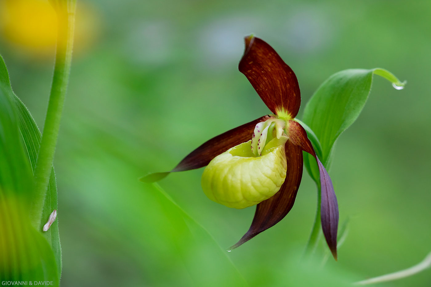 ...sotto il grattanuvole...