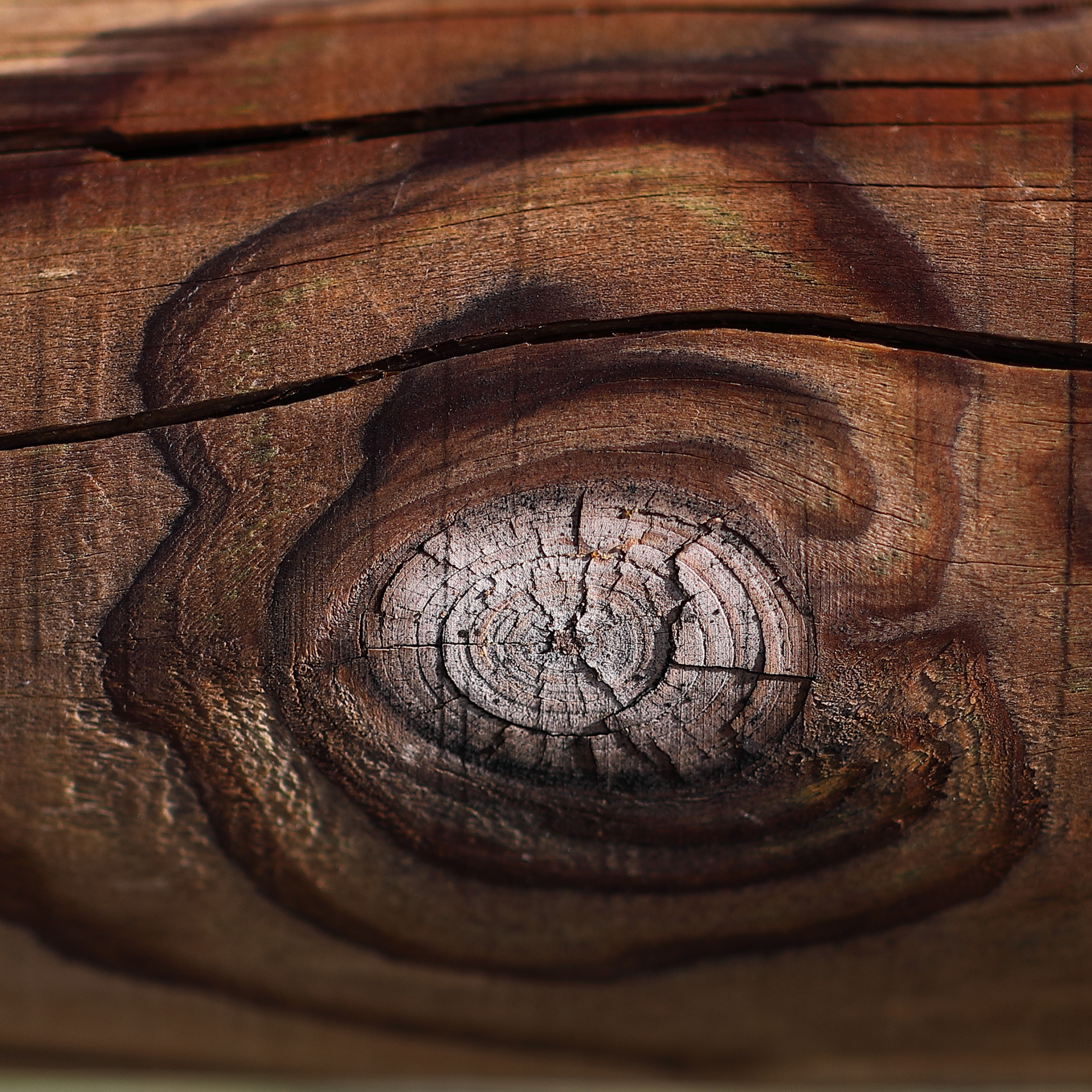 05/10/2020 - A spasso in bici