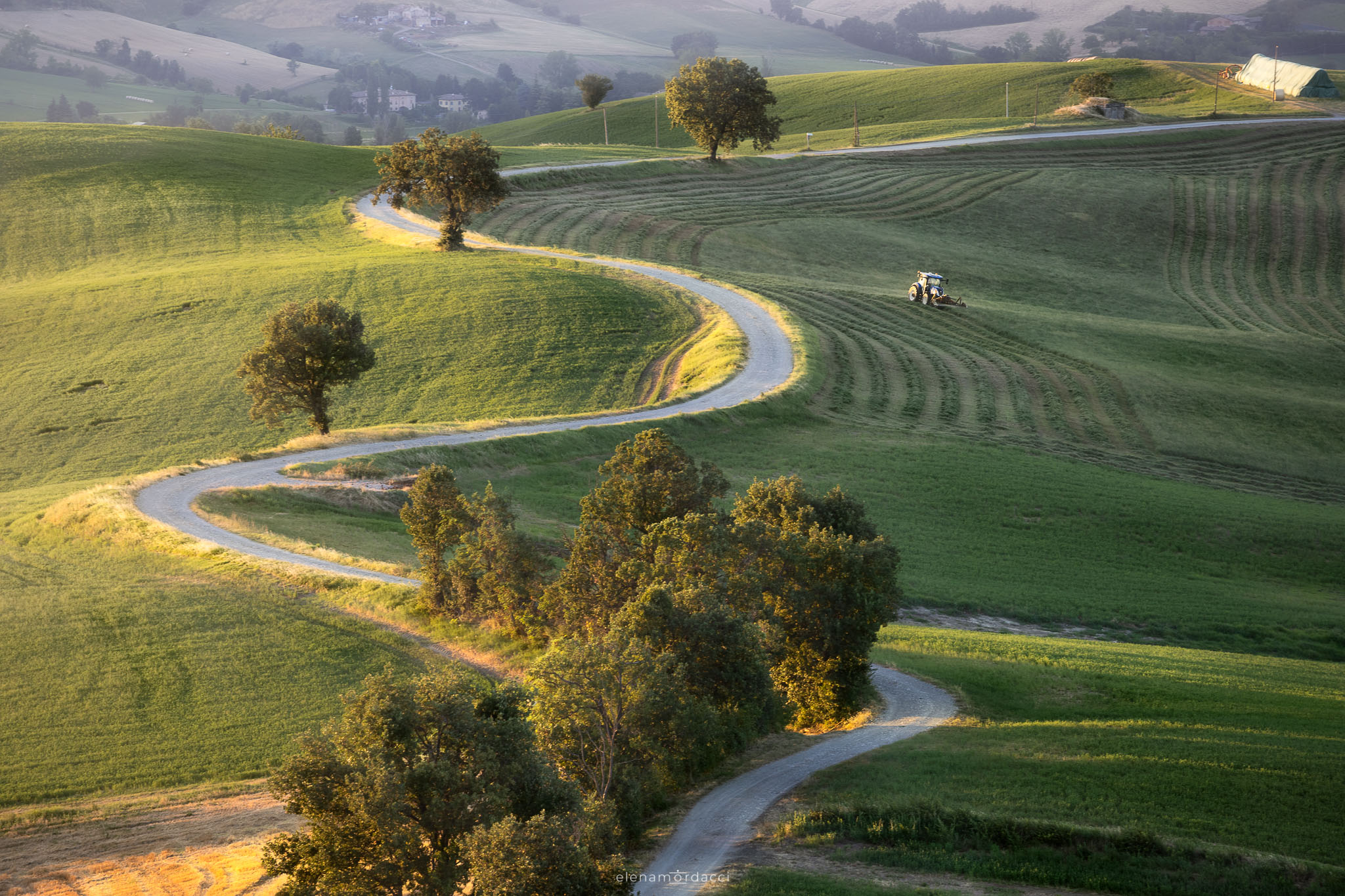 Golden Hill, New1001