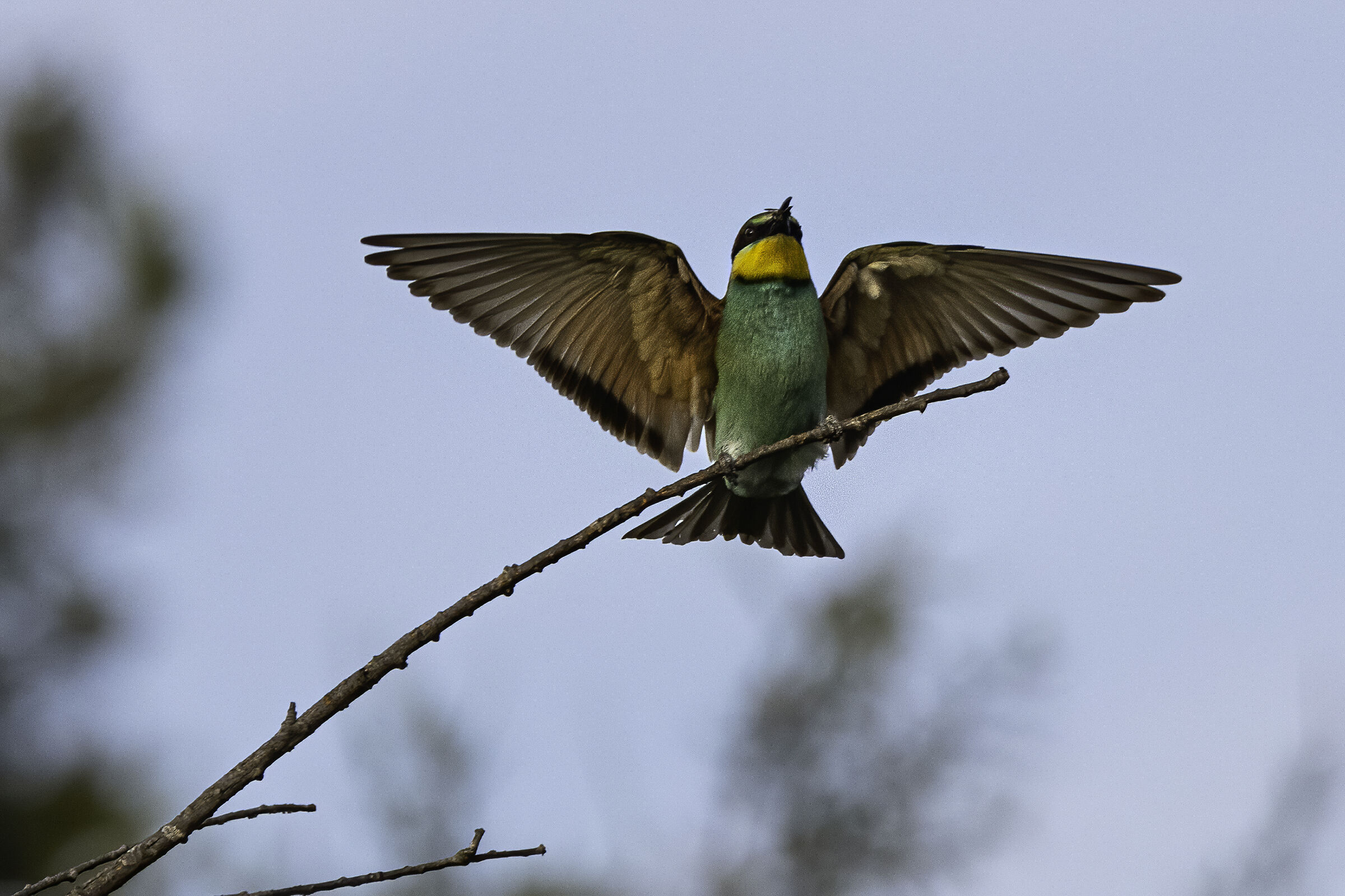 Tutta questione di equilibrio...