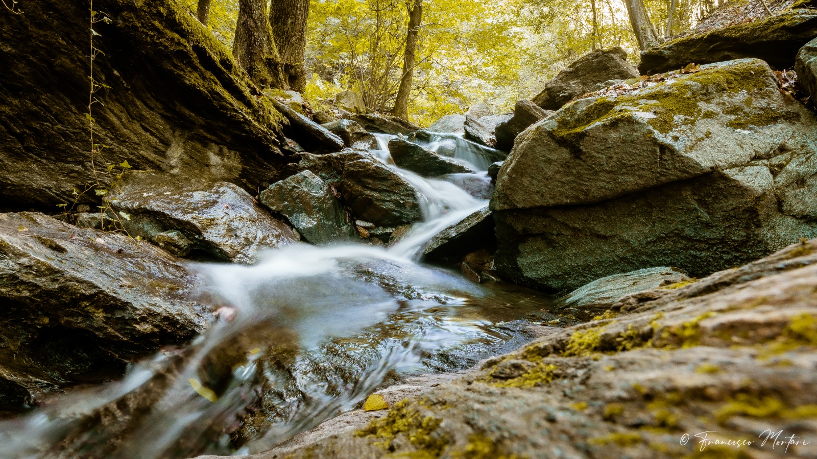 The movement of water
