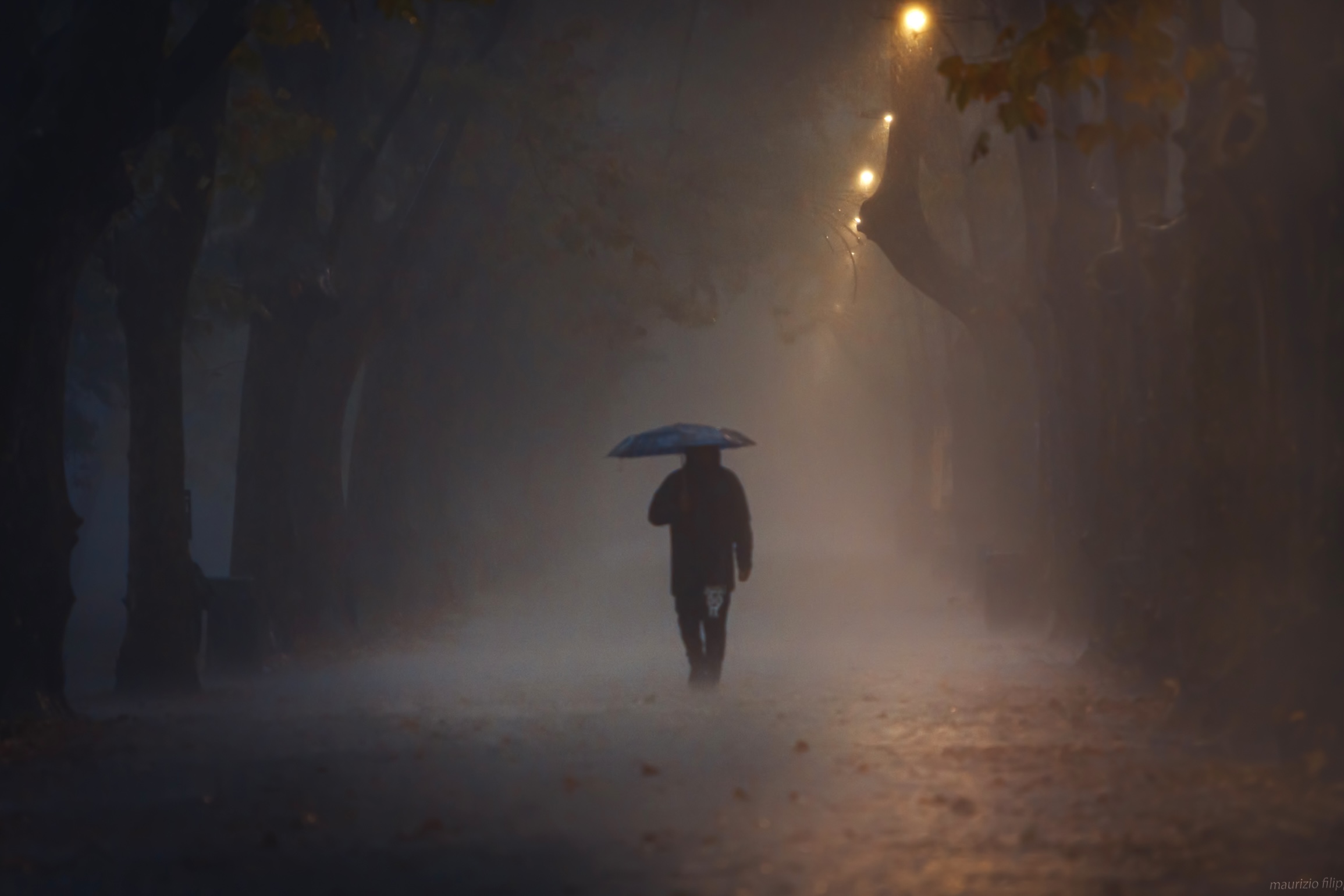 Walking through the colors