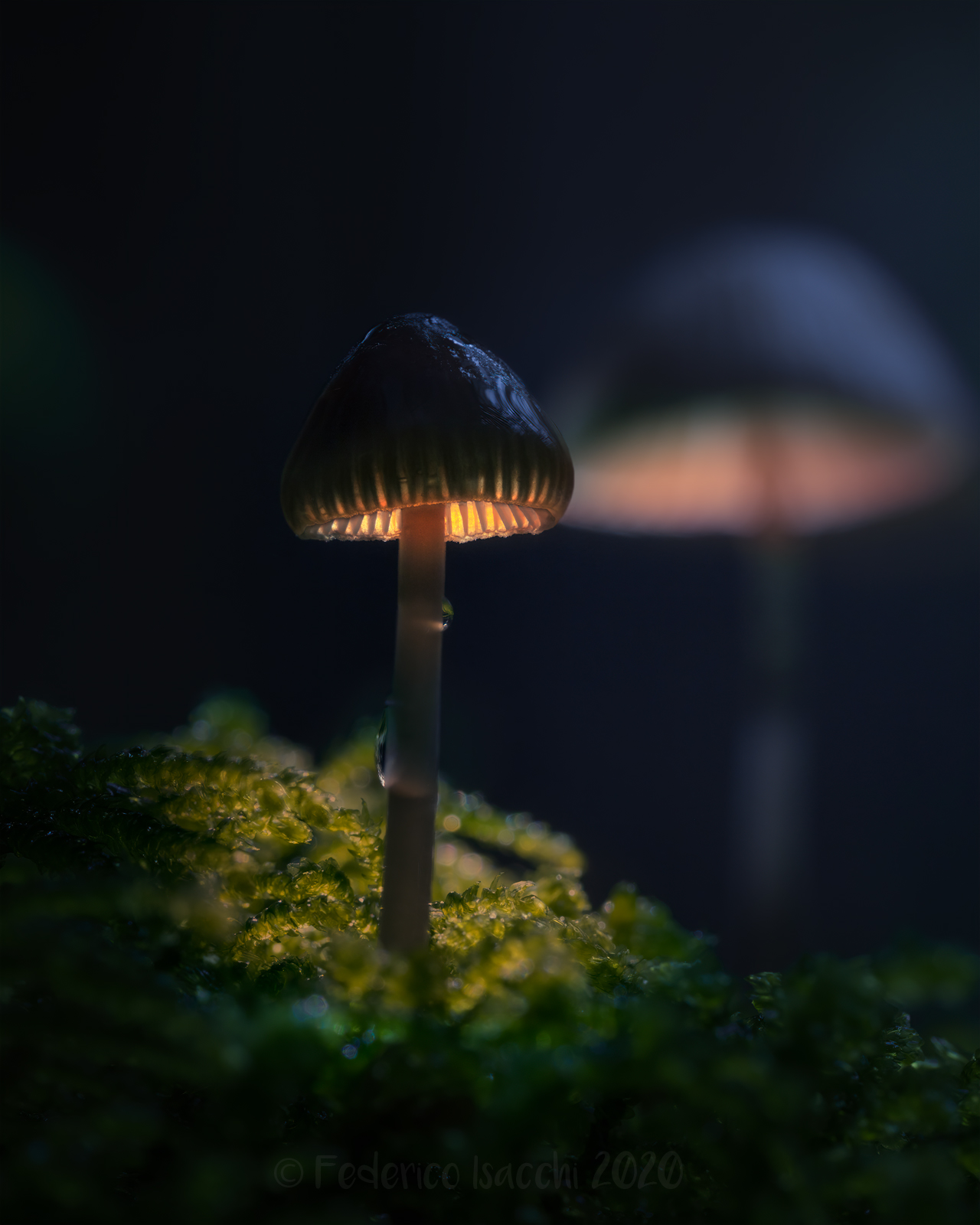 E si accese la magia