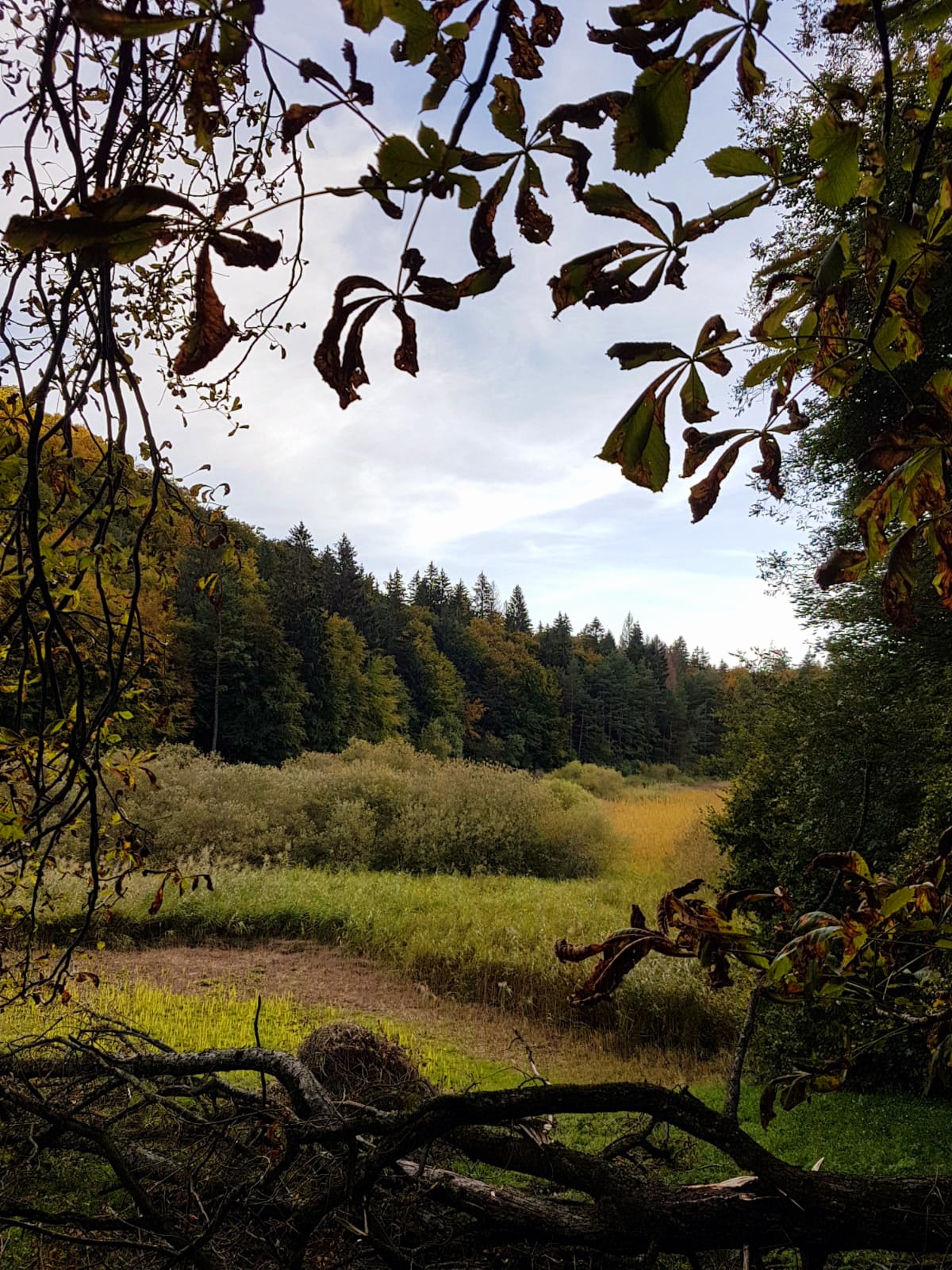 Autumn start in Cei, Trentino